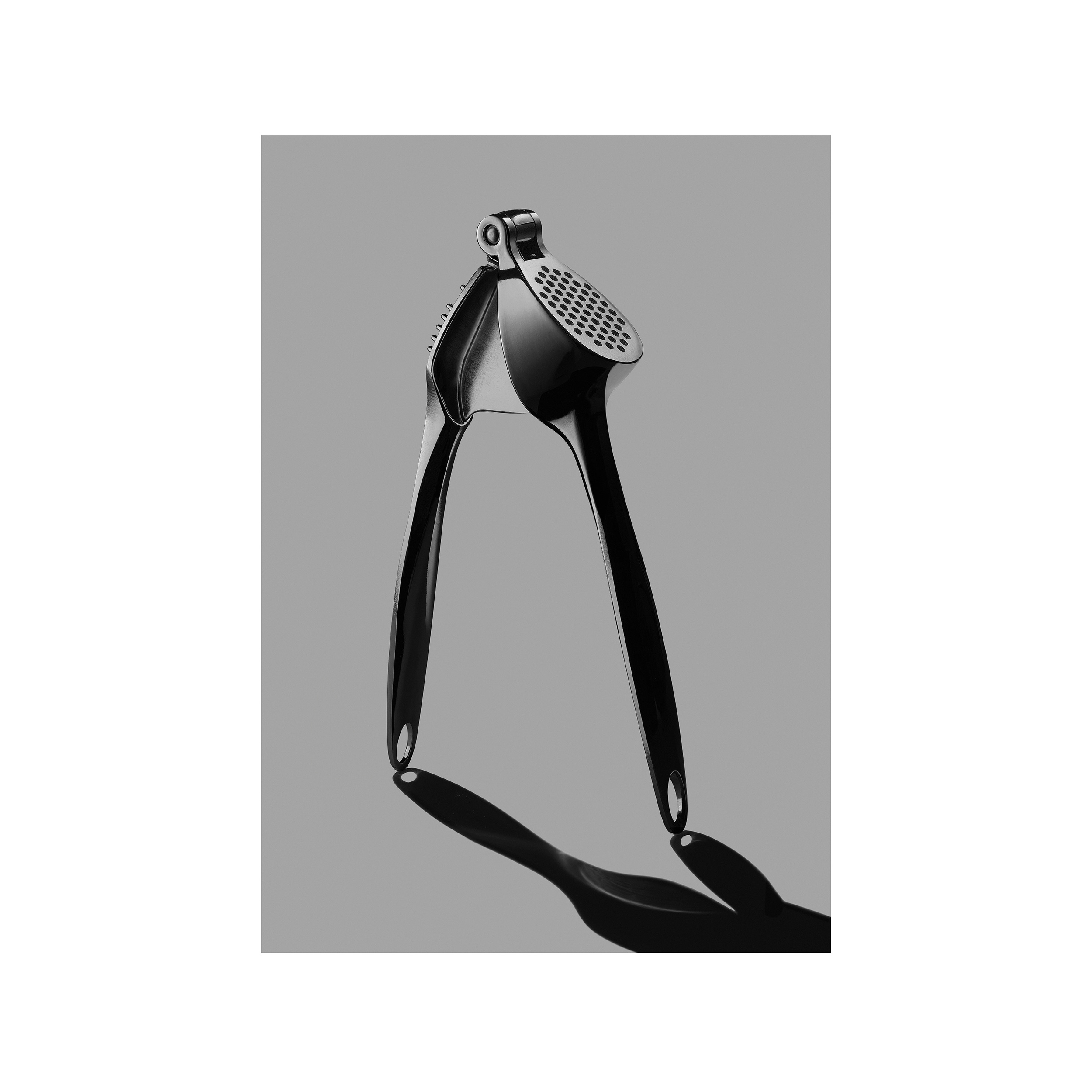 garlic 16 x12 PRINT FINAL.png