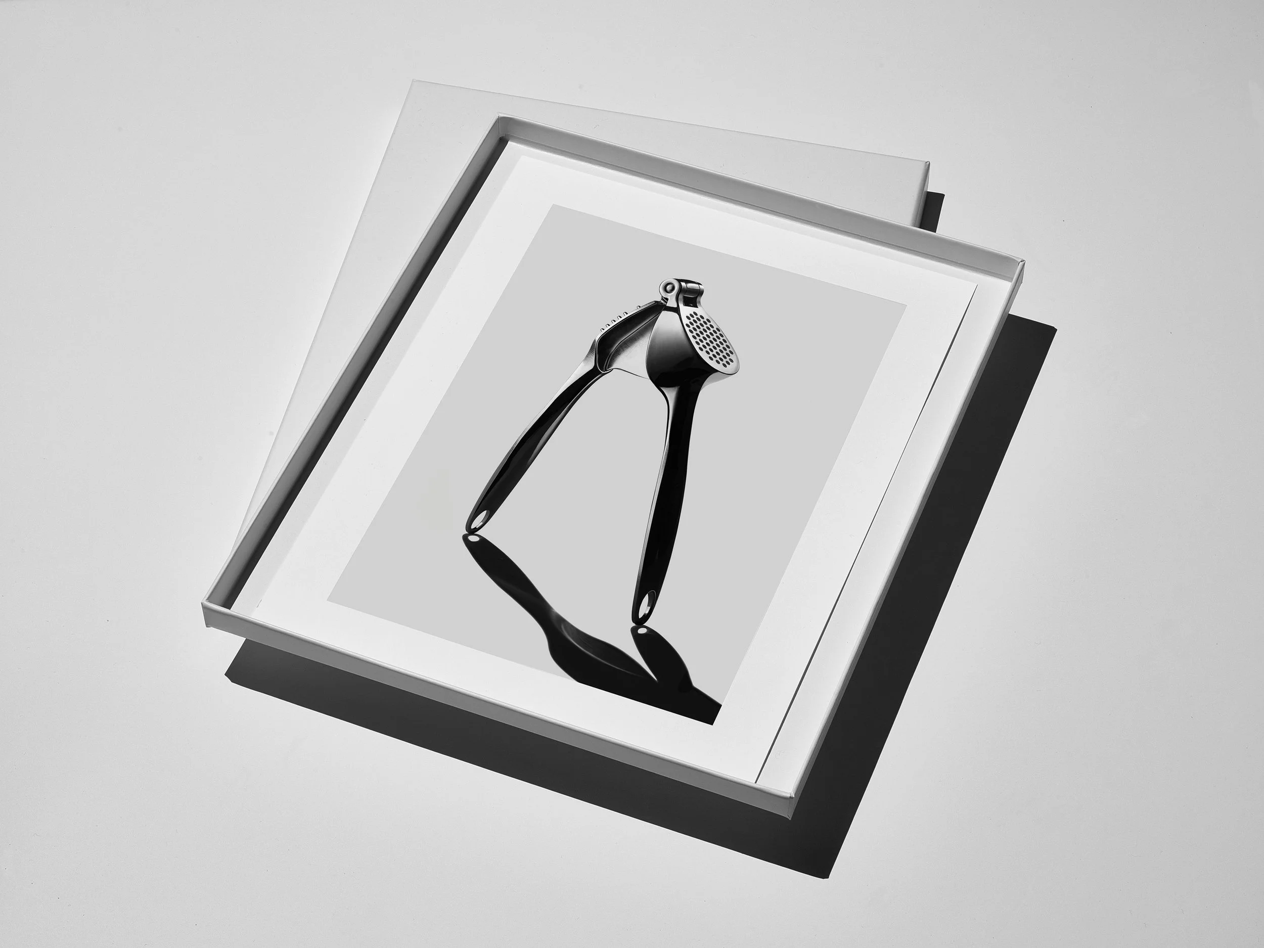 The Garlic Press