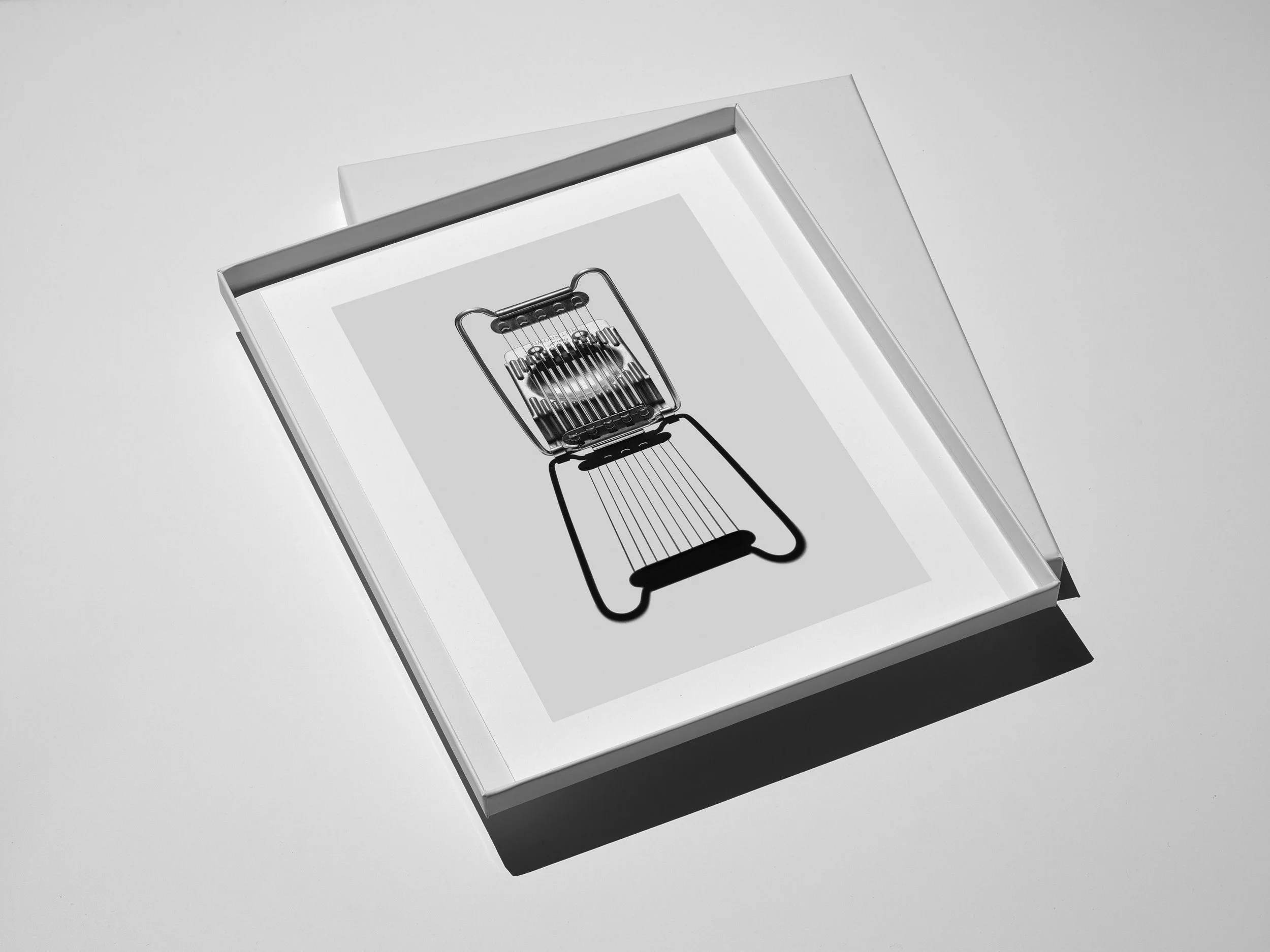 The Egg Slicer