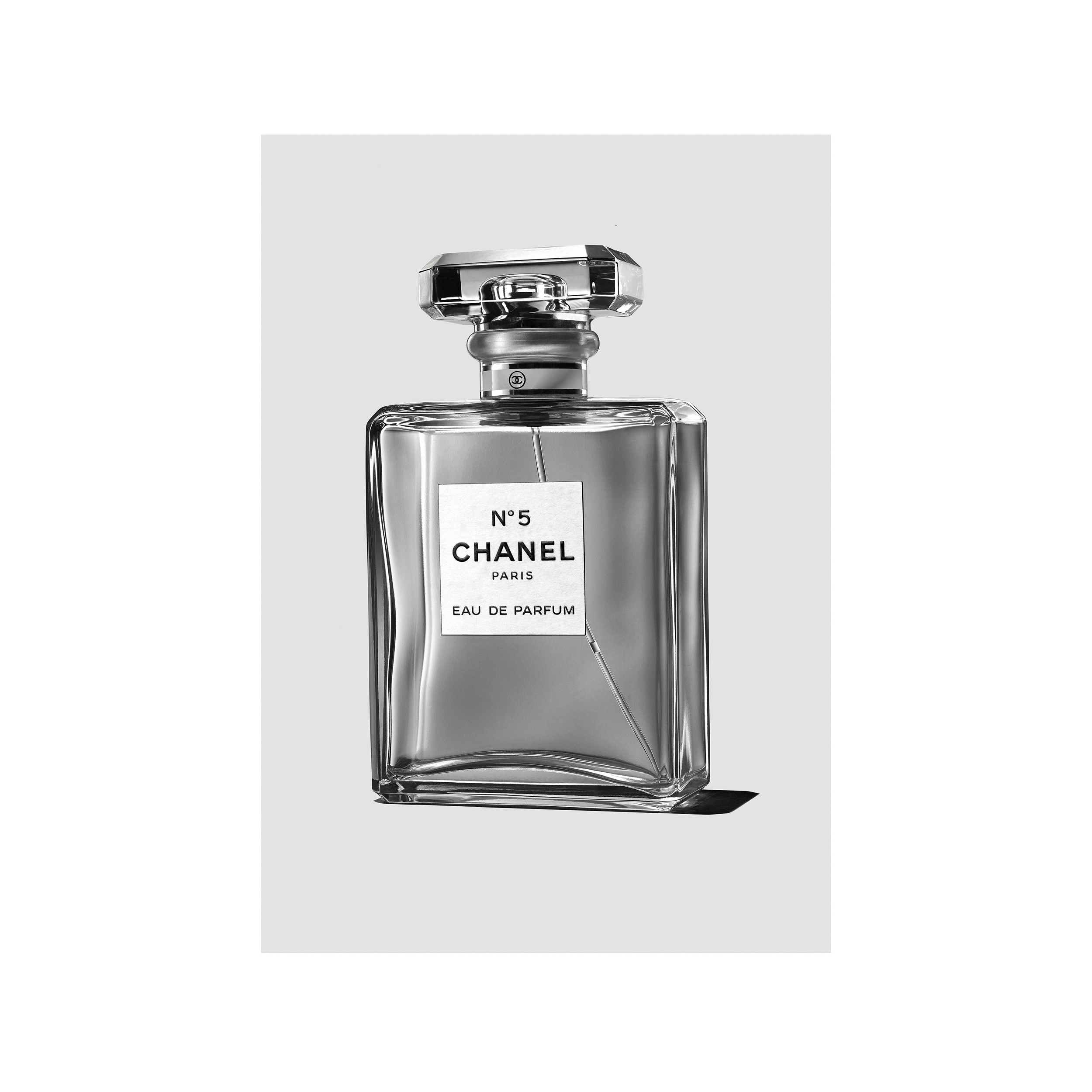 chanel NO5  F16 BY 12 PRINT.png