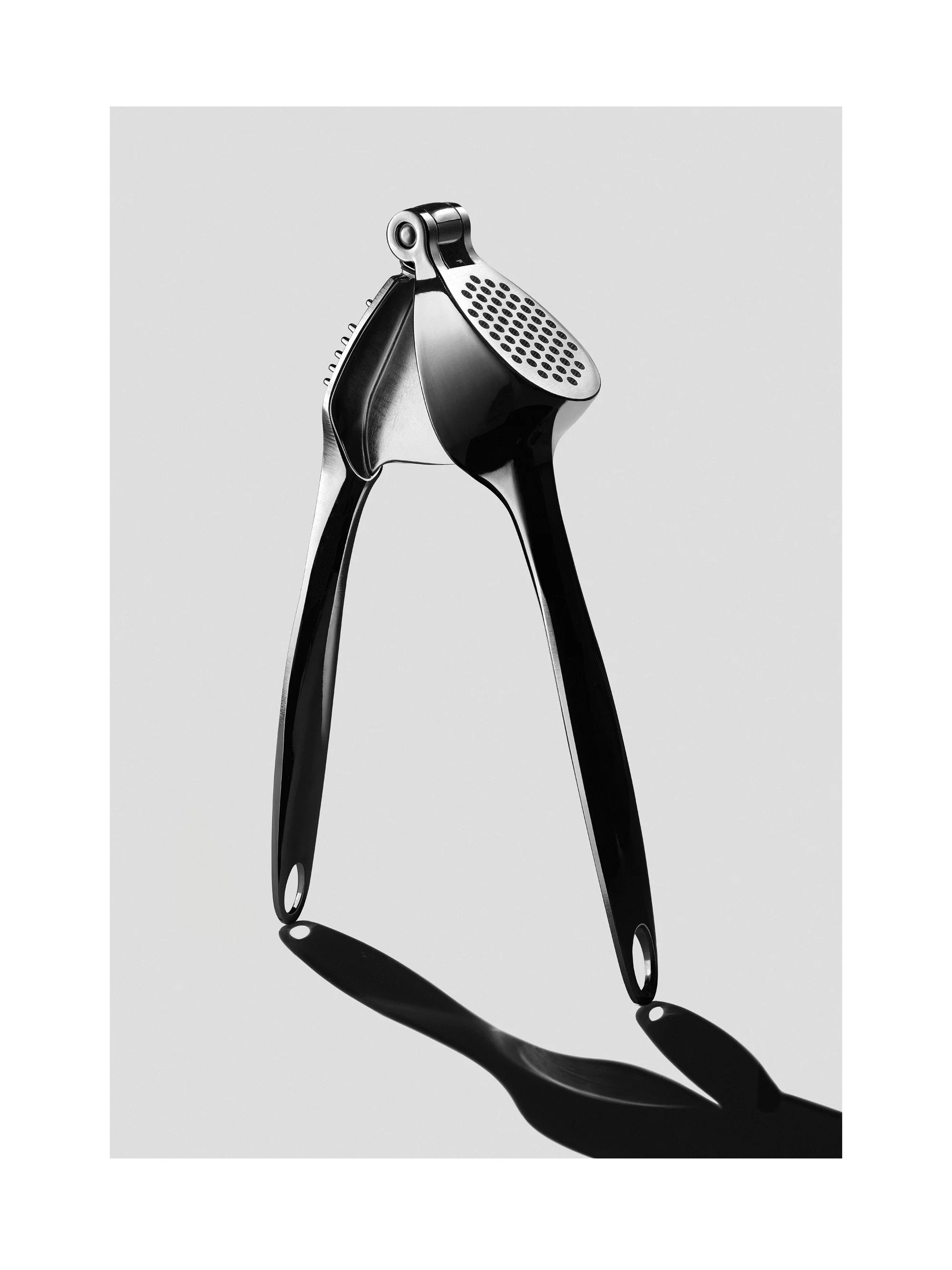 NEW garlic PRESS TELEGRAPH.jpg