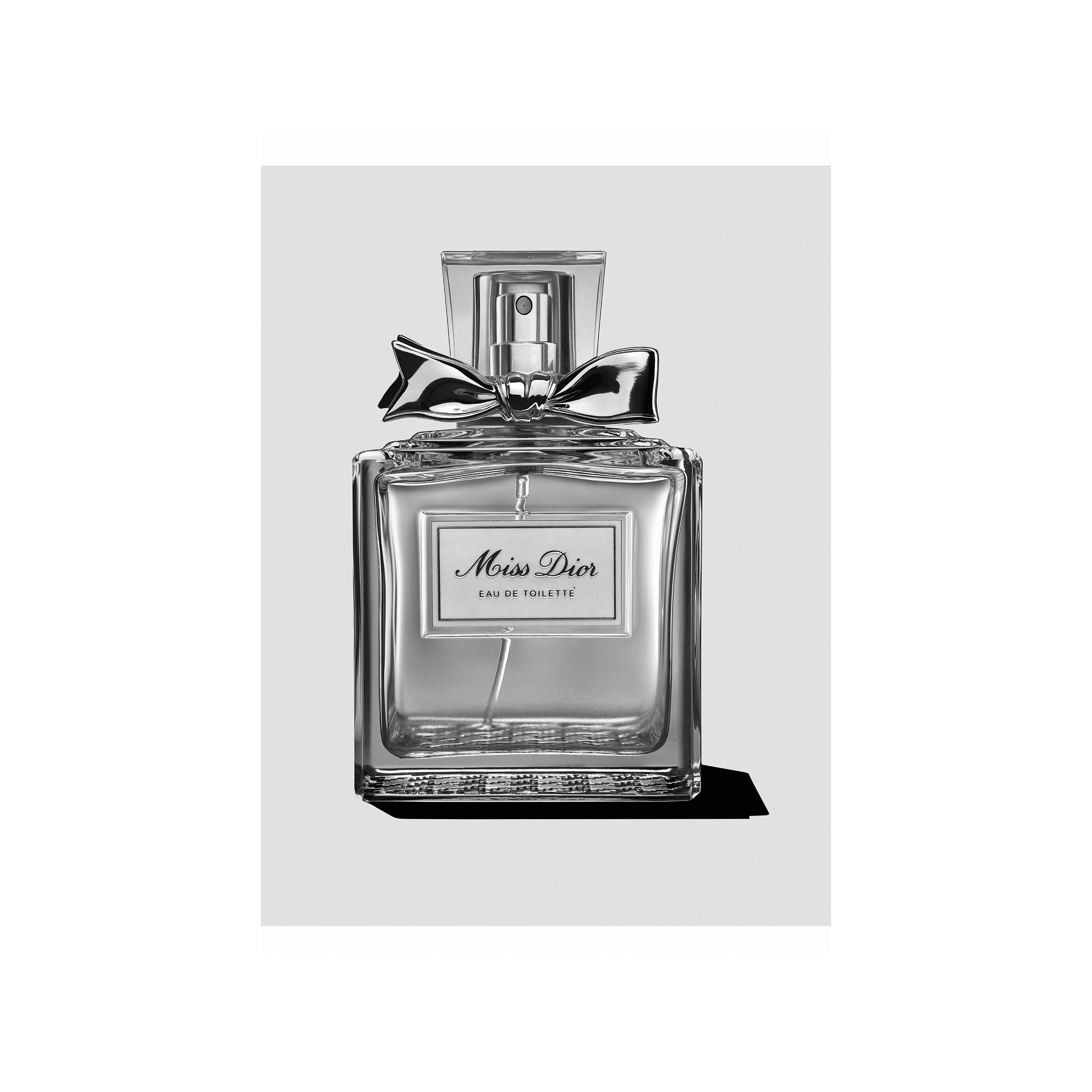 Miss dior final 16 X 12 PRINT.png