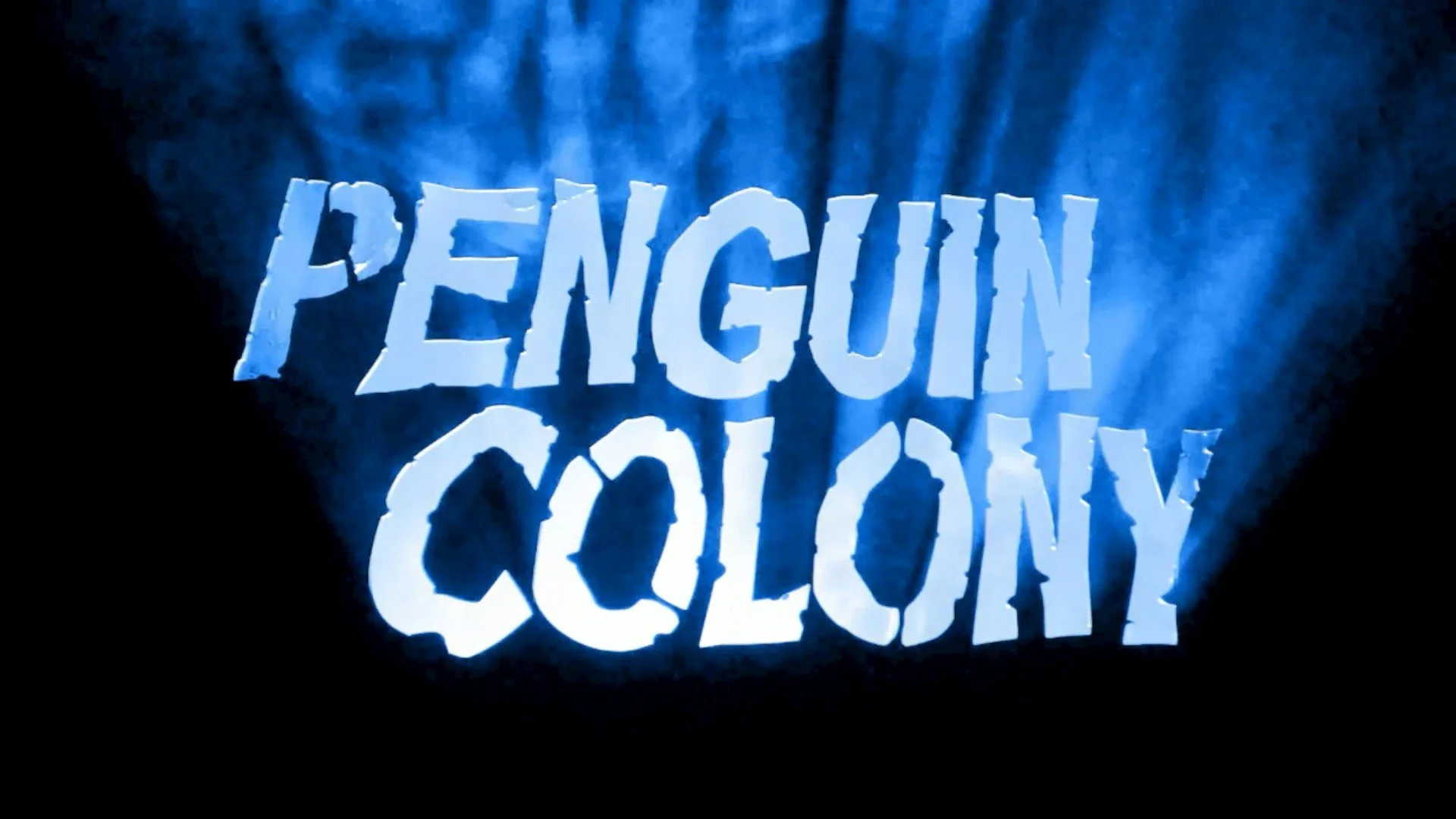 Coming Soon: Penguin Colony