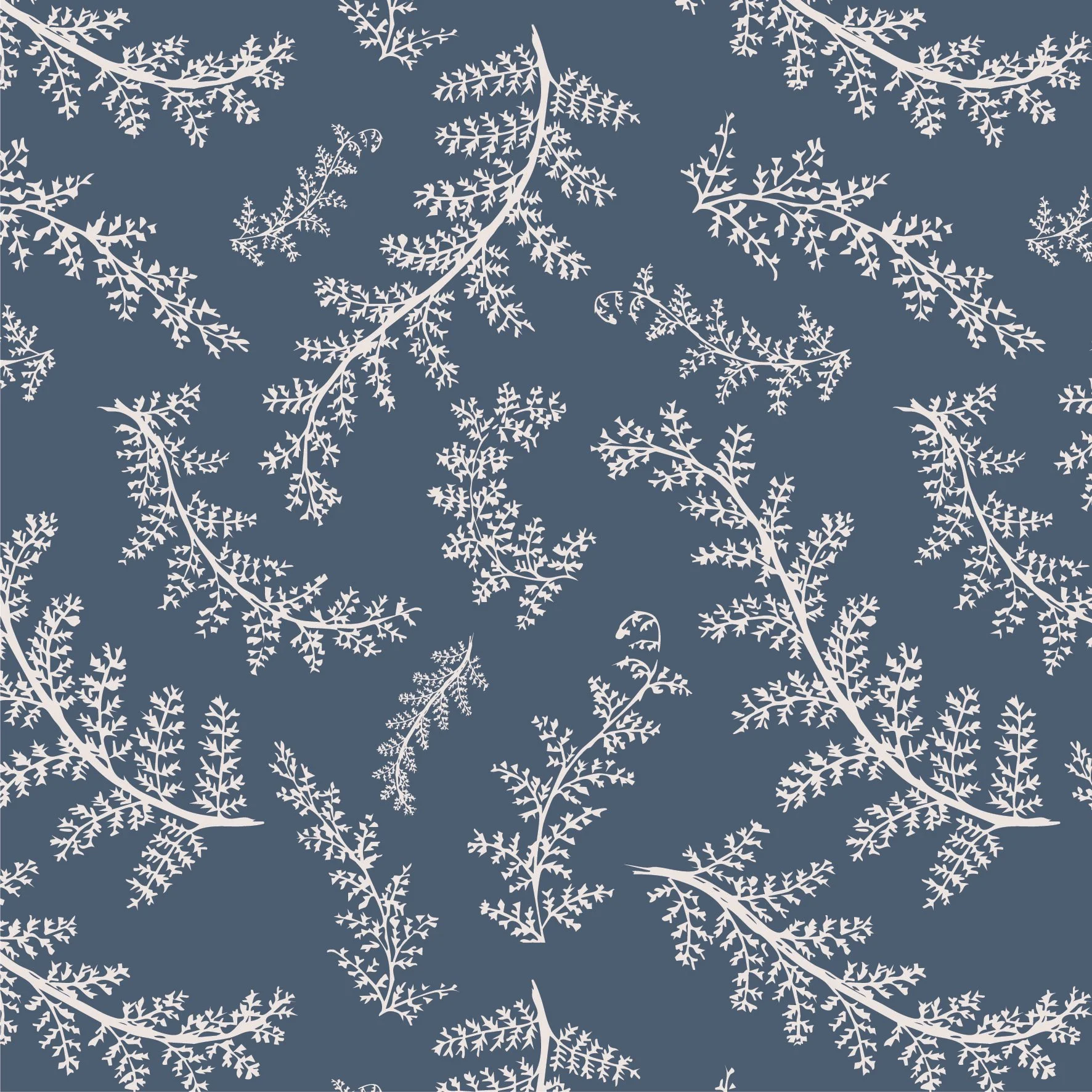 blue ground fern-04.jpg