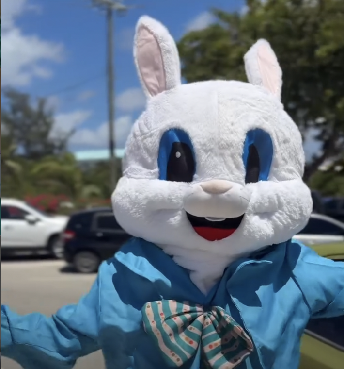 Bunny