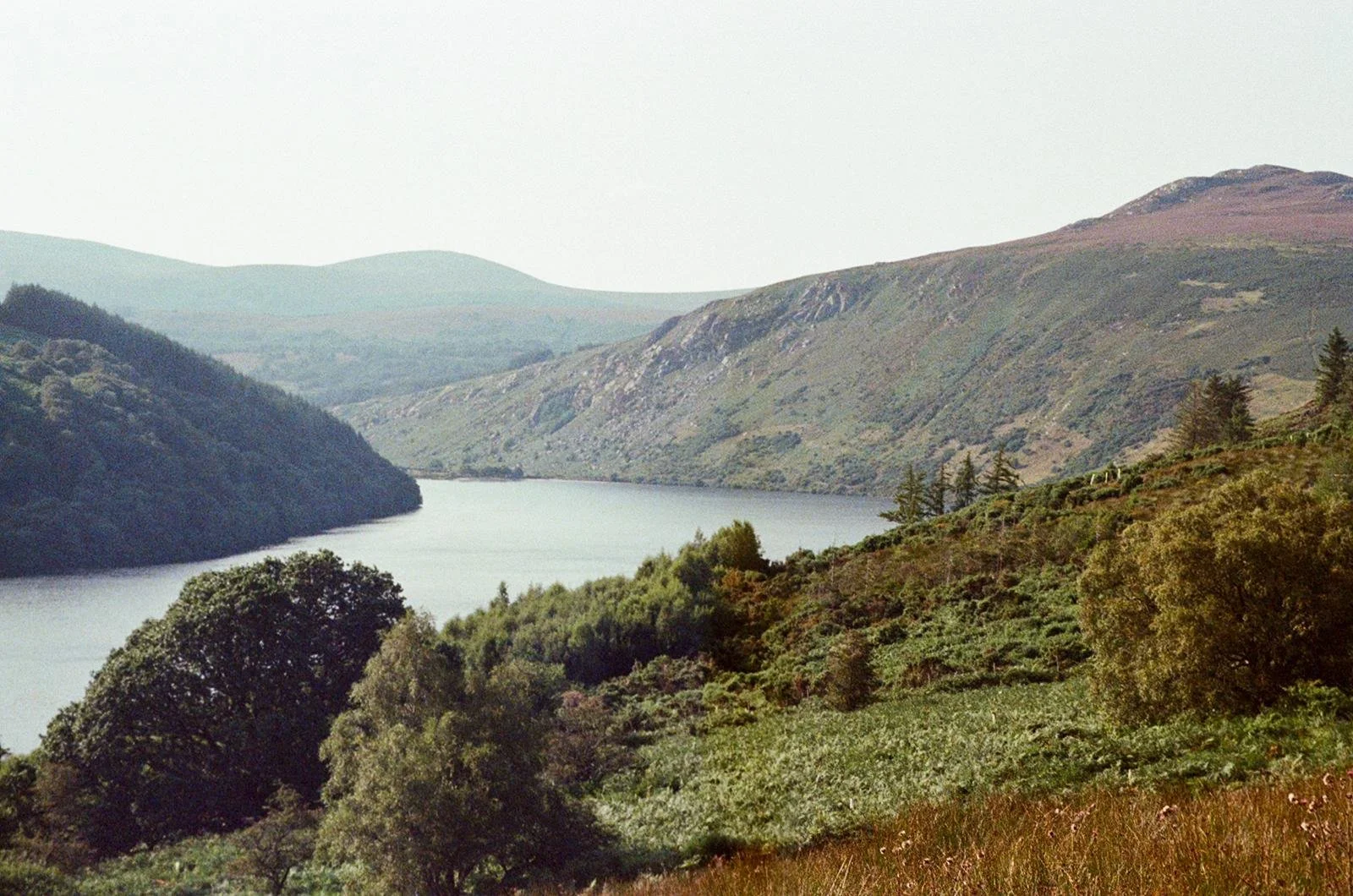  The Impact of Nature on Attention, Communication, Emotional Regulation and Social Skills