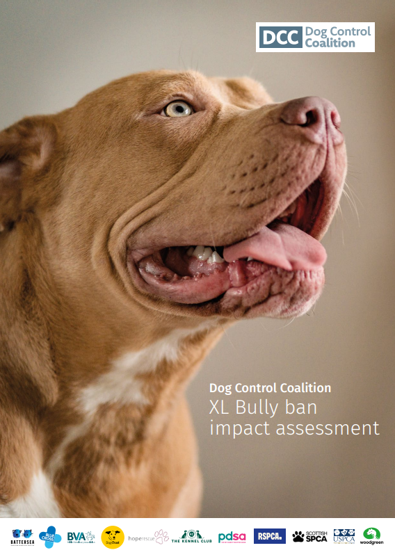 XL Bully Ban impact assessment report