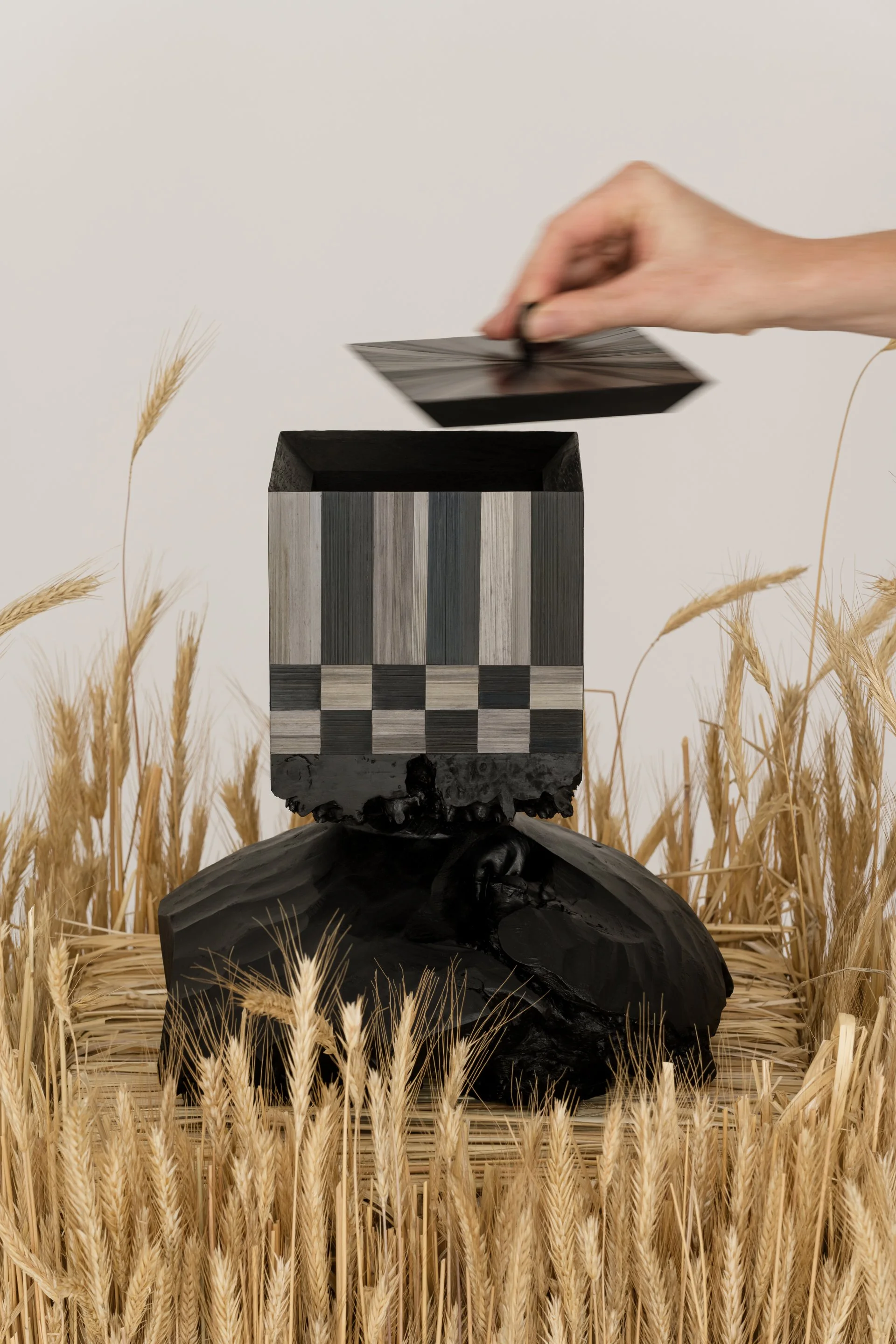 A hand lifts a black lid on a black and gray striped box, which is placed on a black sculpture of a bird's head, surrounded by dry wheat stalks.