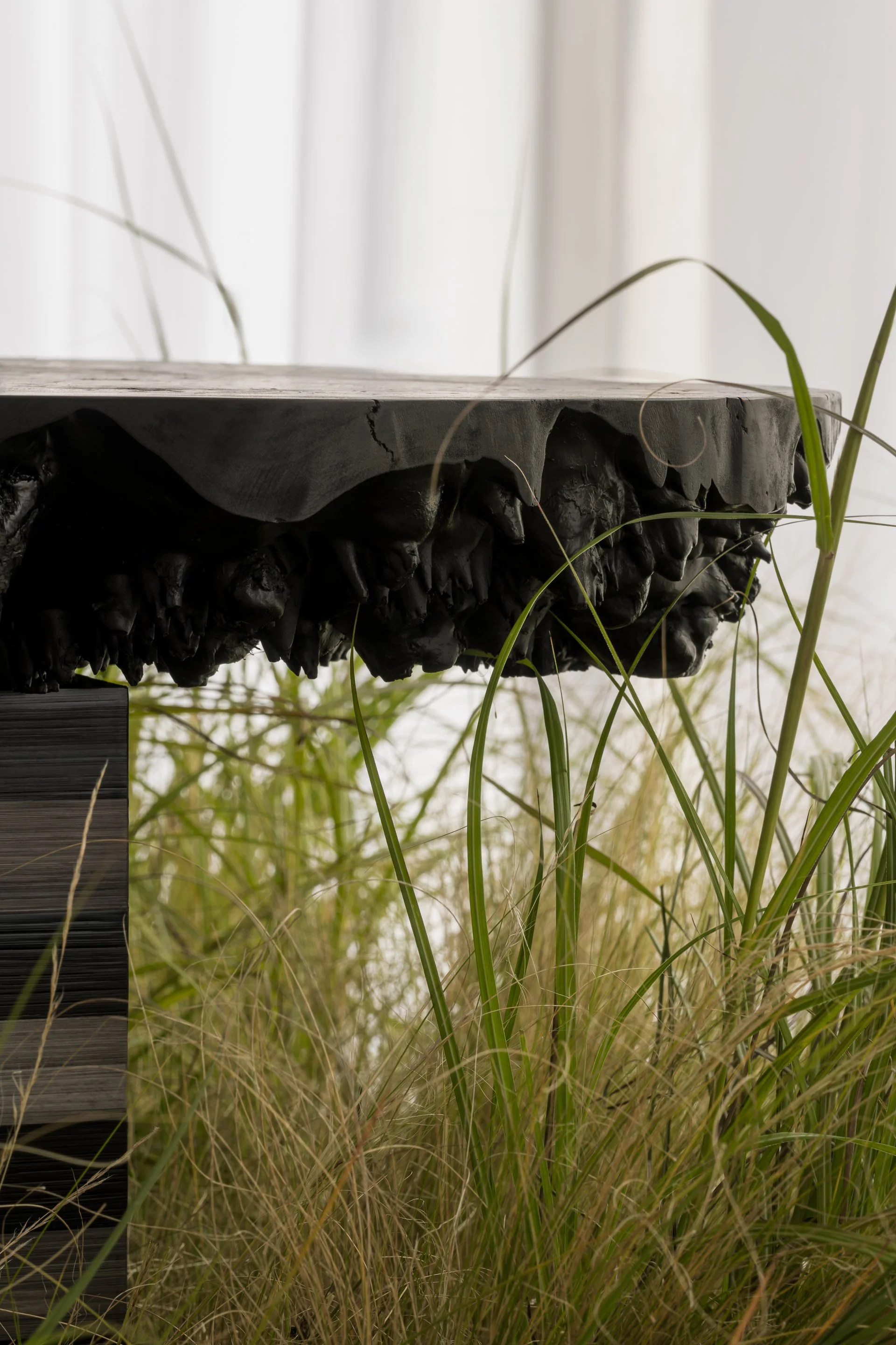 Close-up of a black wooden table with a textured edge, surrounded by tall grass and a light-colored curtain in the background.