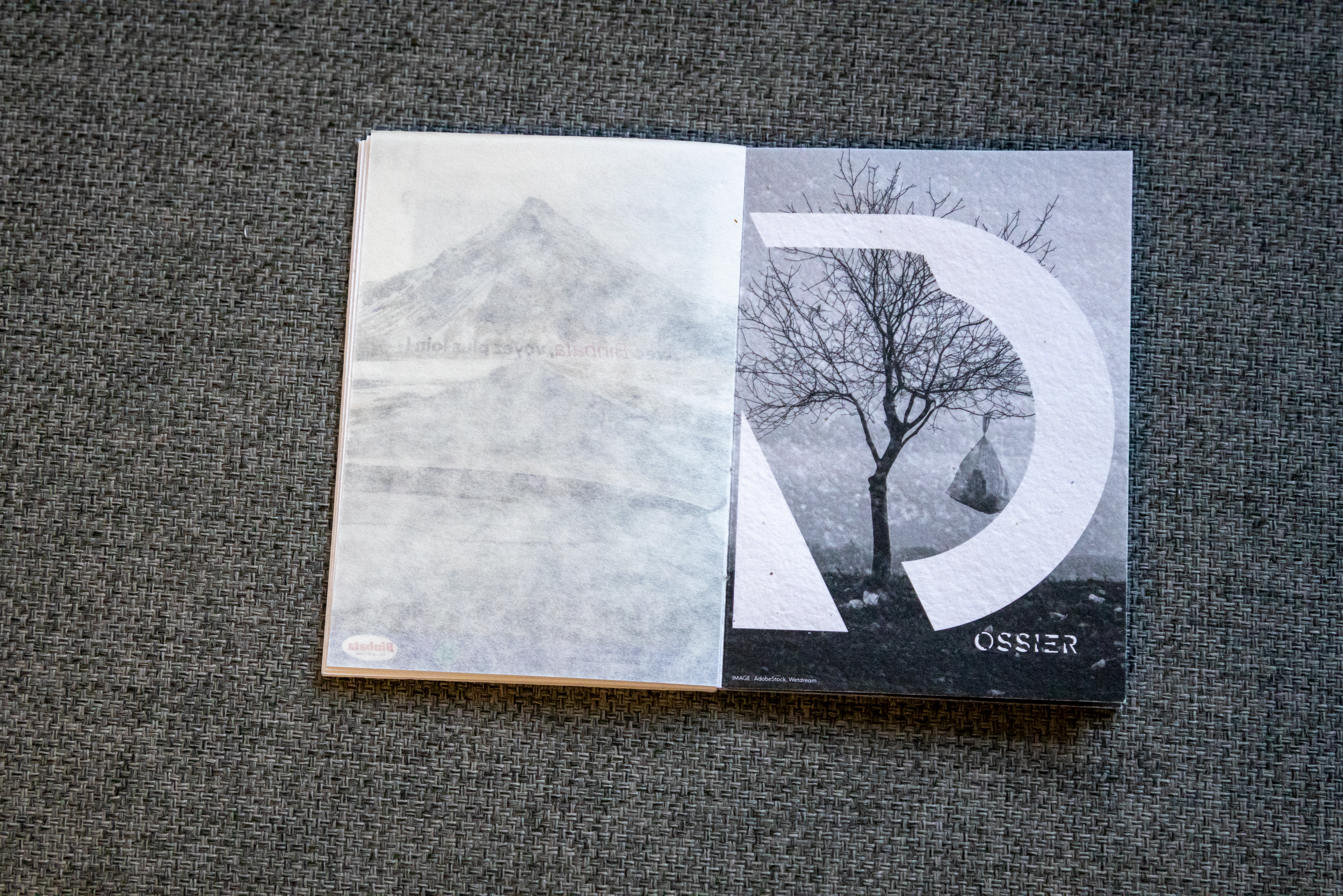 Un magazine ouvert avec une photo d'une montagne et d'un arbre nu en noir et blanc.