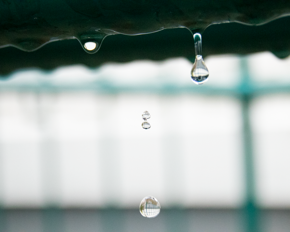 Gouttes d'eau tombant d'une surface liquide ou d'une feuille, avec un fond flou.