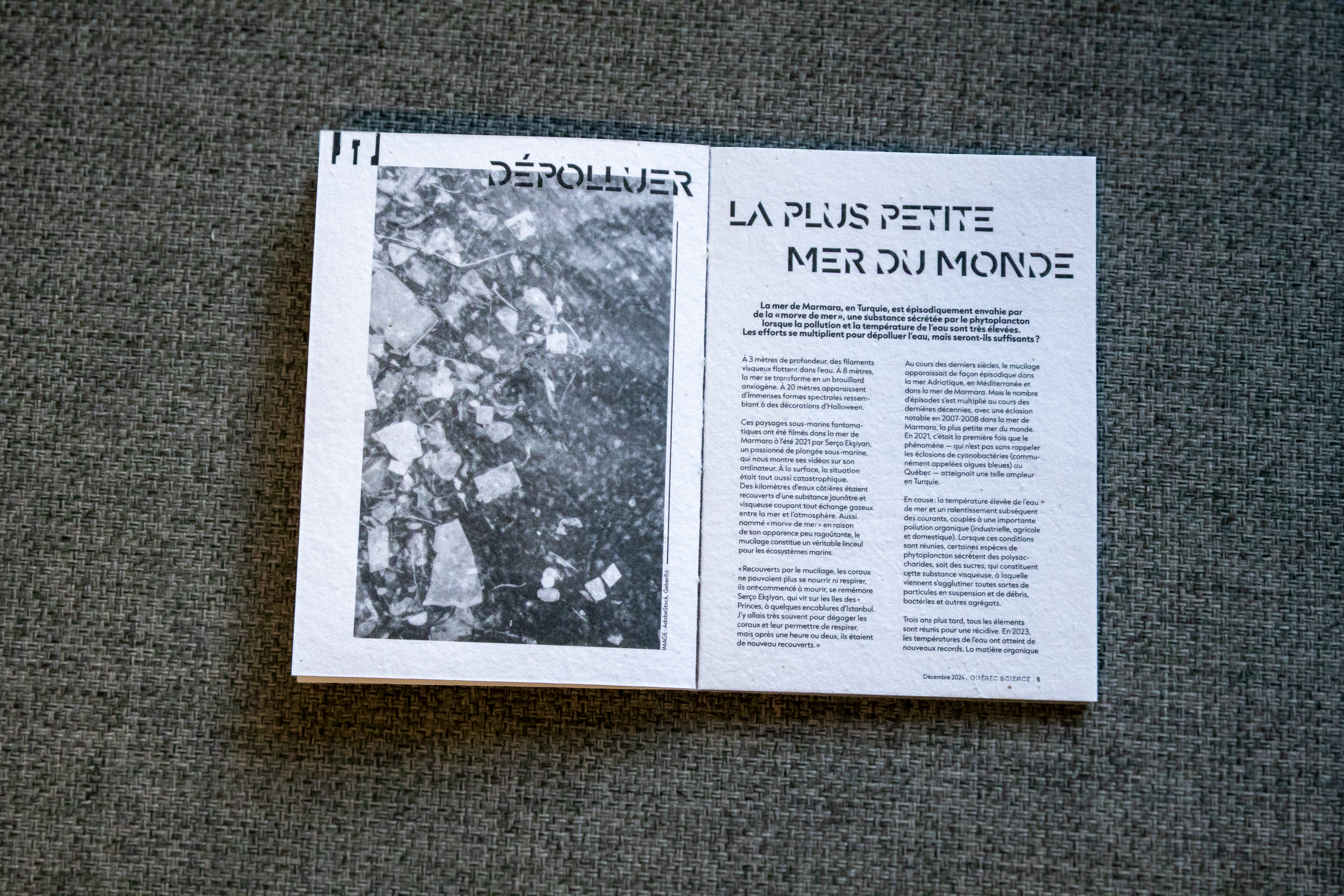 Une page de magazine ou journal avec un titre en gros caractères noirs et un paragraphe de texte. Il y a une photo en noir et blanc sur le côté gauche. La page parle de l'environnement marin et de la déforestation.