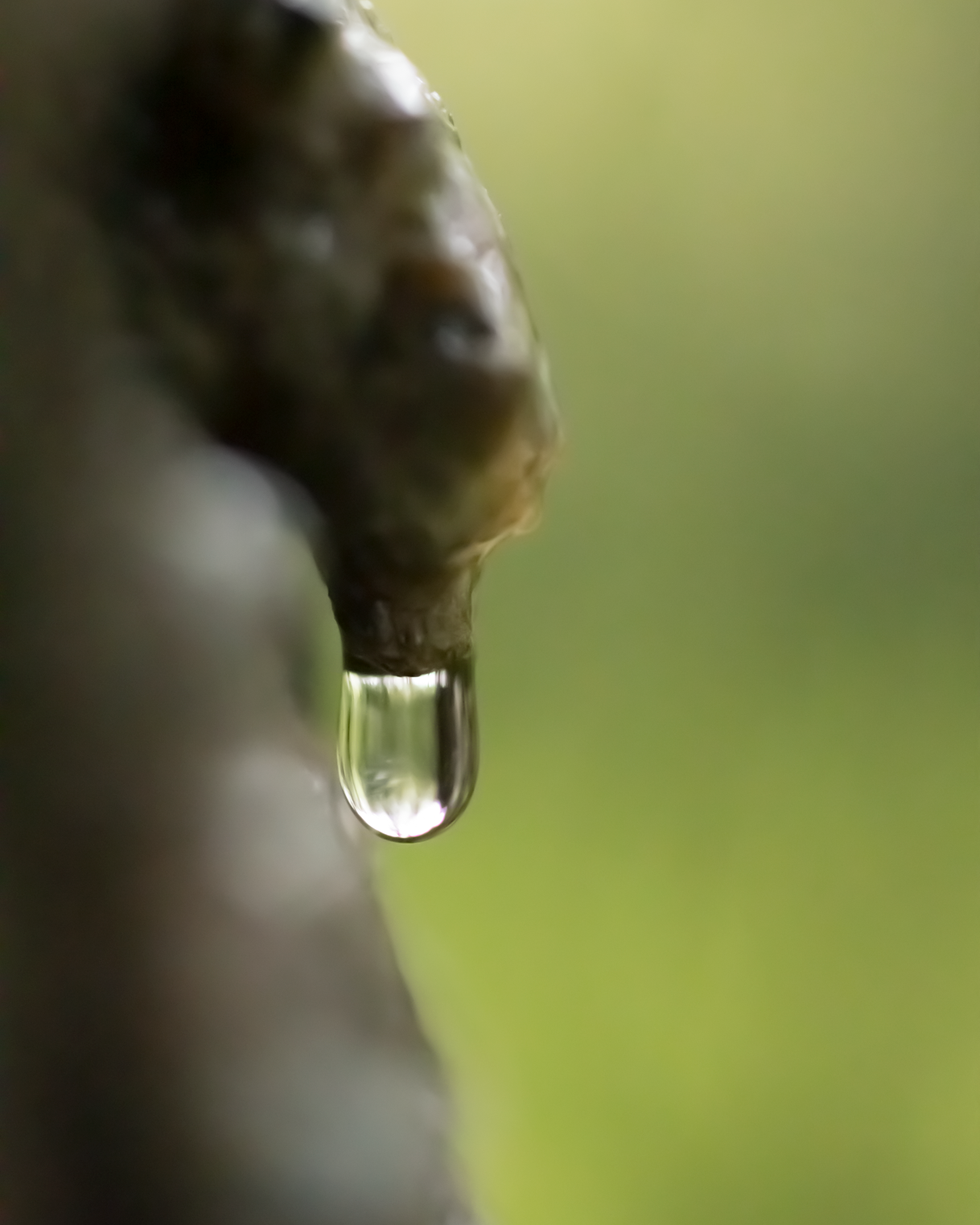 Goutte d'eau suspendue à une surface en bronze ou en métal, avec un fond flou vert et beige.