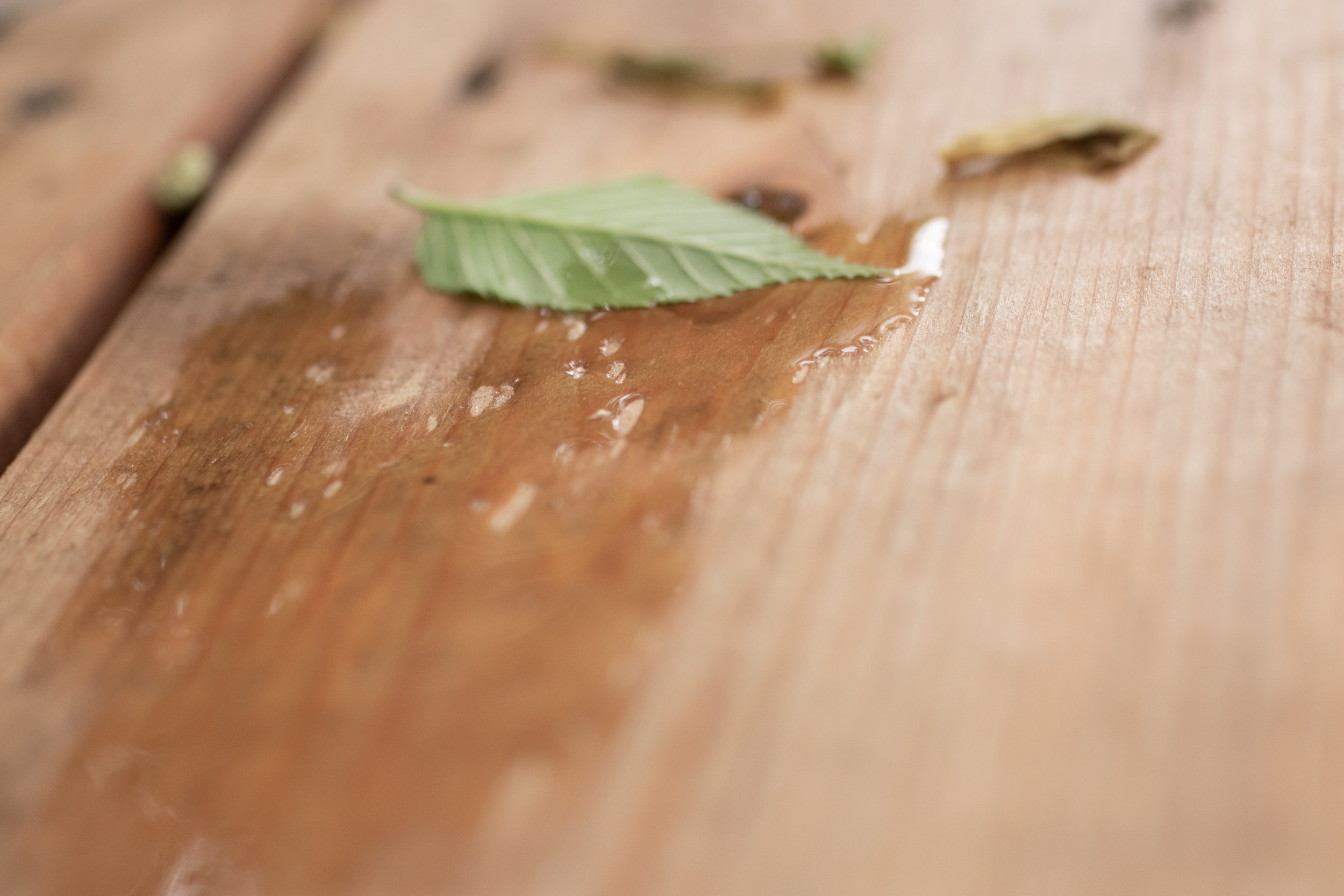 Feuille verte sur une surface en bois avec des traces d'eau.