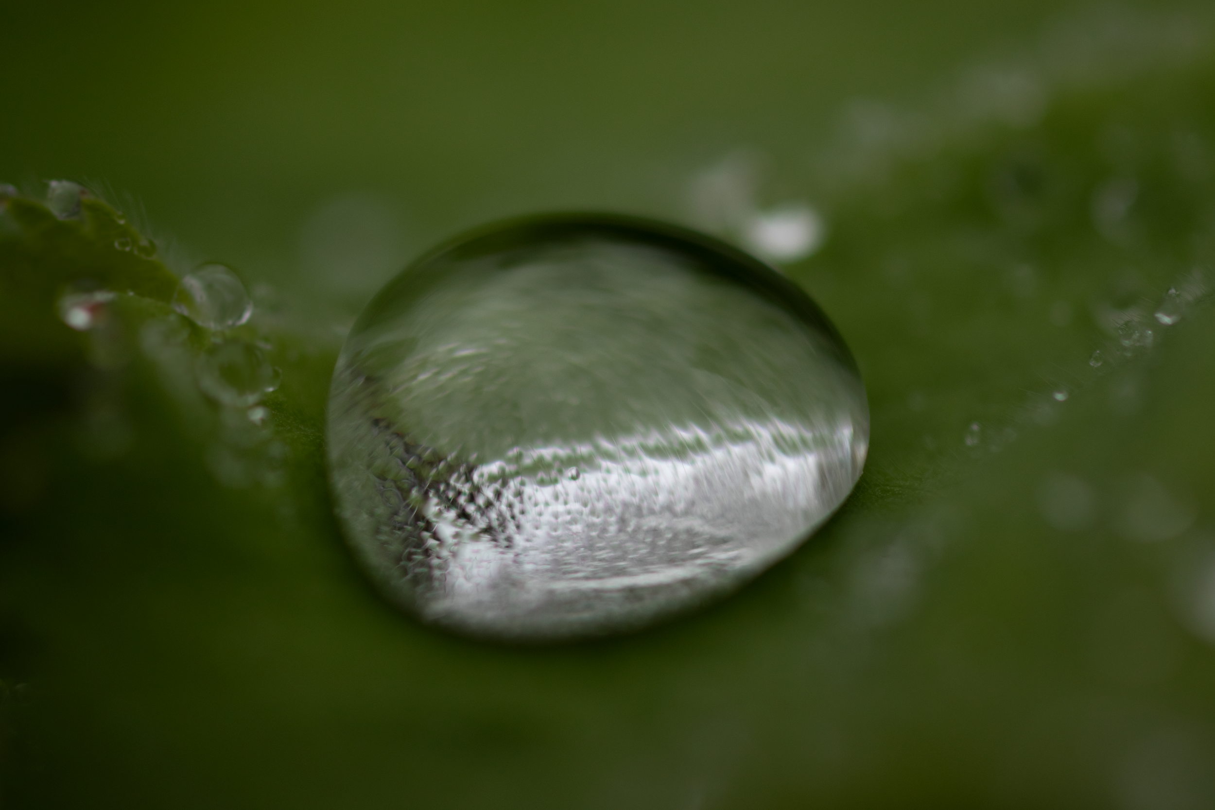 Grosse goutte d’eau en macro posée sur une surface verte, reflétant la lumière et créant des textures floues autour. Une image naturelle mettant en valeur la pureté et la fraîcheur de l’eau.