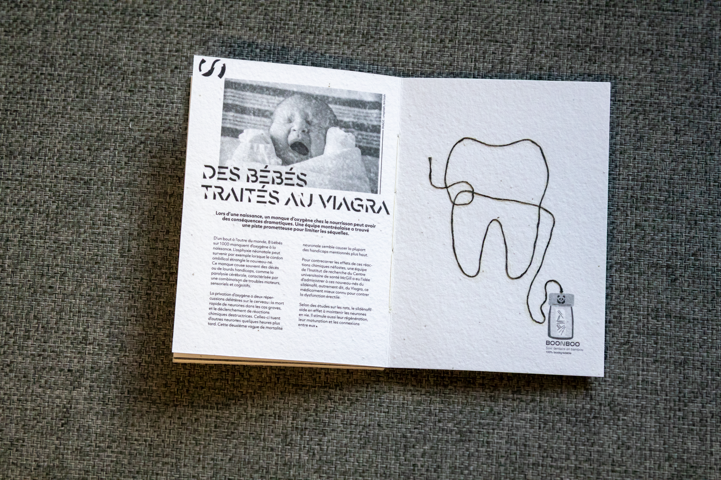 Un livret ouvert avec une page contenant un article en français sur les bébés sous Viagra, avec une photo en noir et blanc d'un bébé qui pleure et un dessin d'une dent en fil de fer de l'autre côté