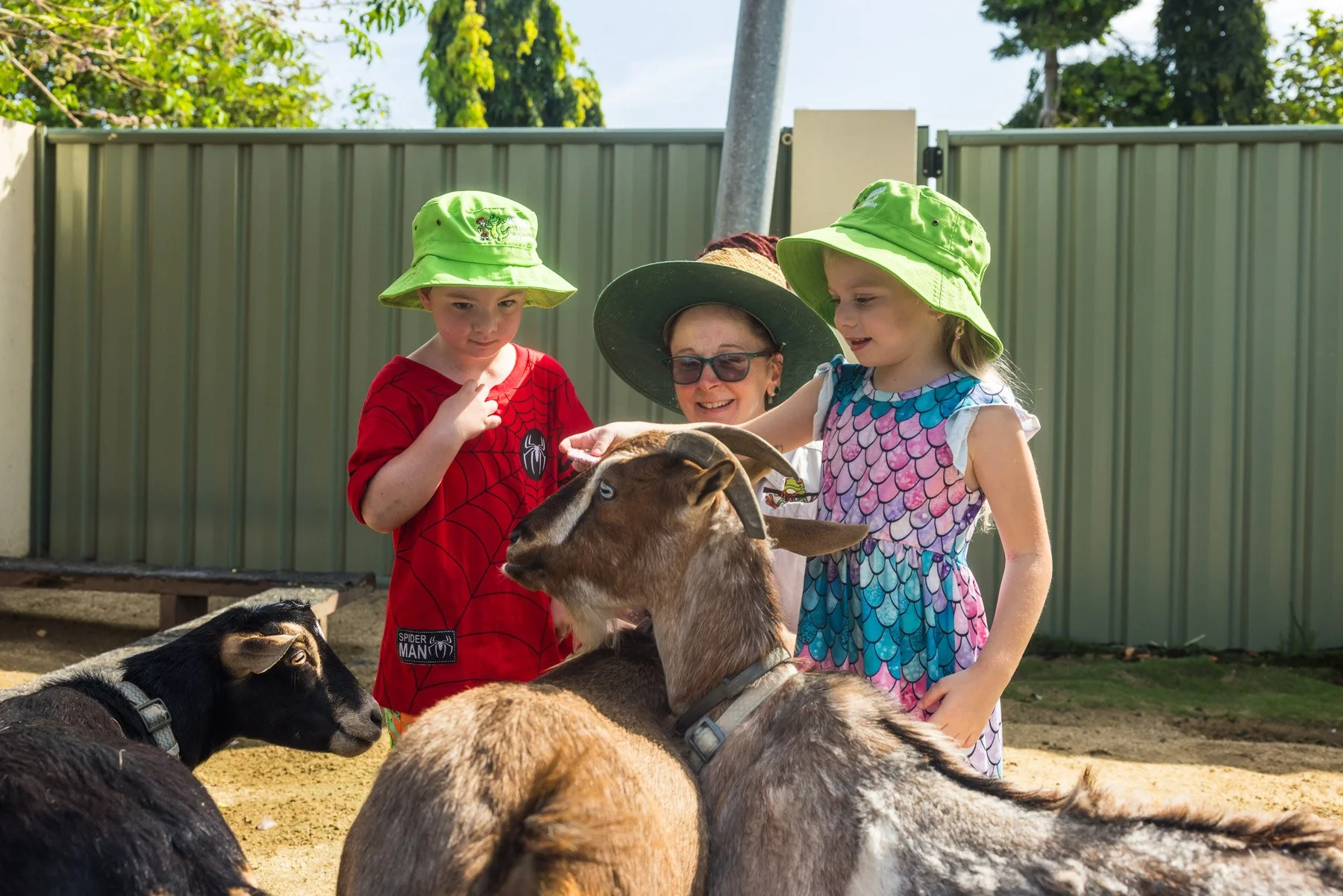 Two young girls and an early learning educator with glasses and a sun hat are petting goats outdoors; the girls are wearing bright green hats and colourful dresses, and the scene is fenced with trees in the background.