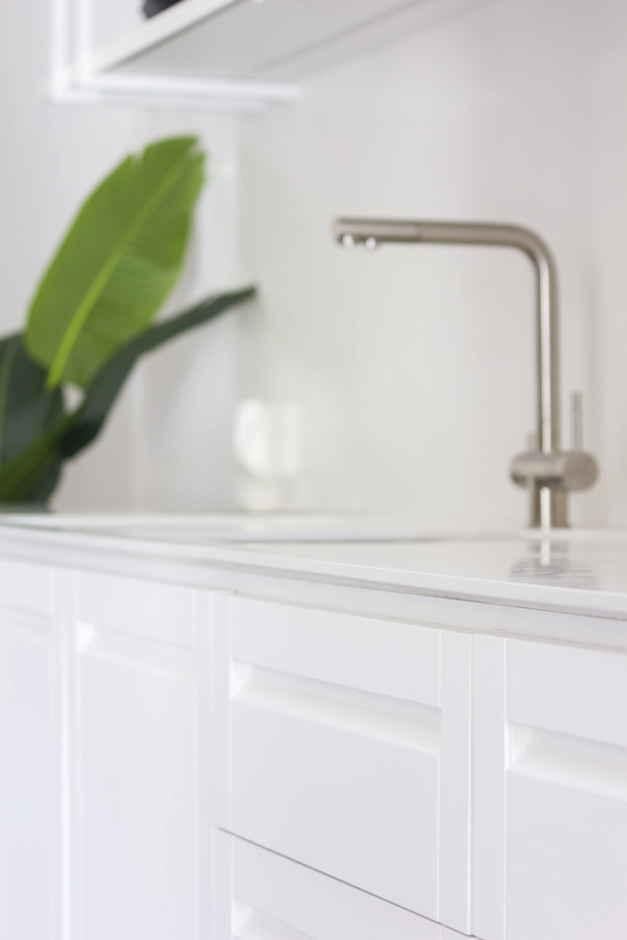 Cozinha moderna com pia de aço inox, torneira de aço inox e balcões brancos, com uma planta verde ao lado e uma parede branca ao fundo.