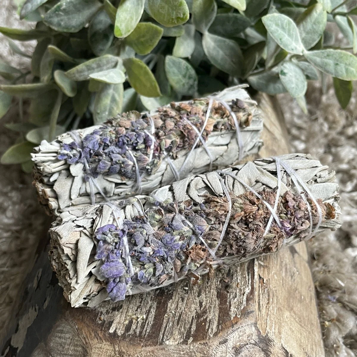 lavender-white-sage-900870.png