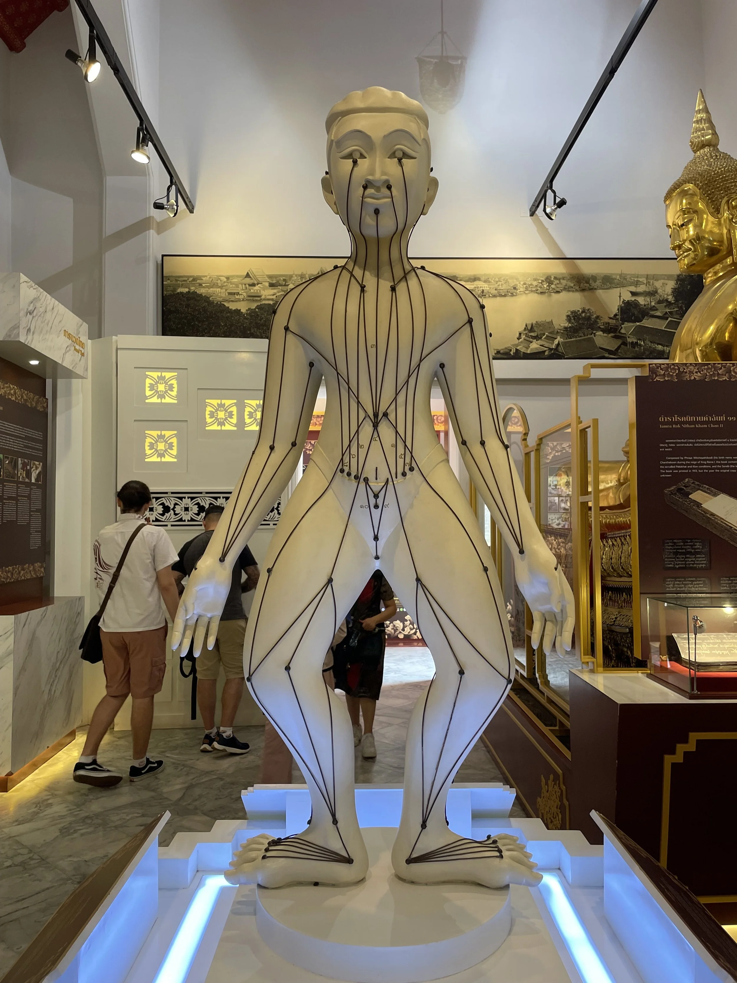 Modellino che illustra i meridiani 