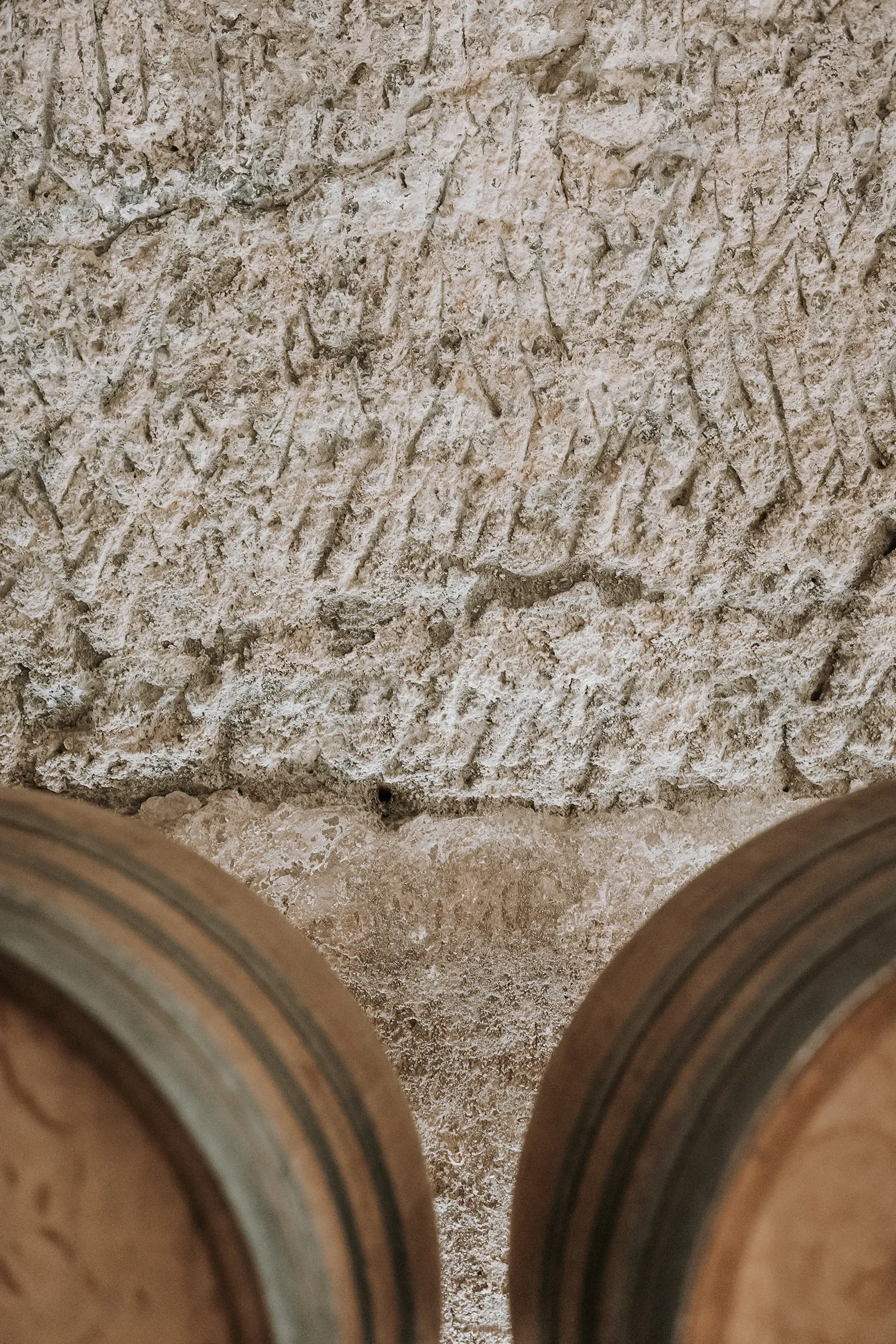 Cantina Barone Rotondo_SDP_24.webp