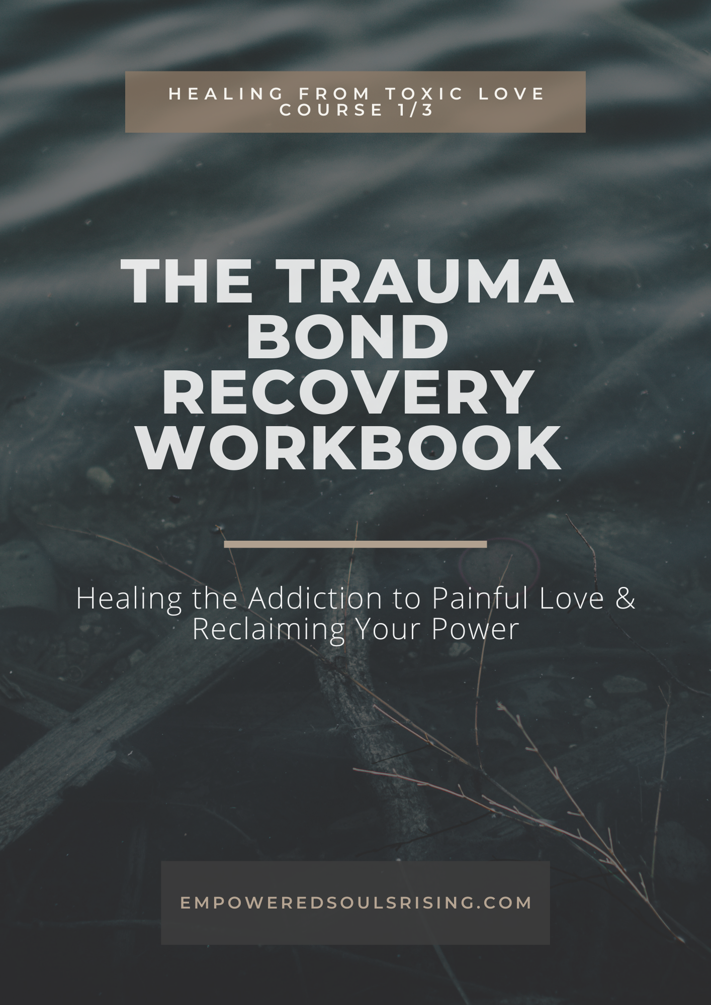 The Trauma Bond Recovery Workbook.png (Copy)