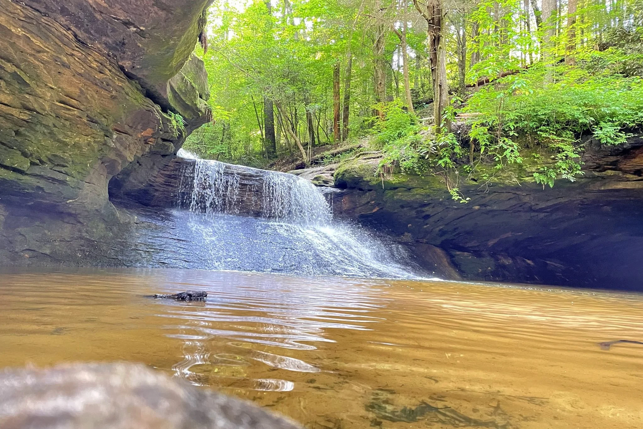 creation-falls-red-river-gorge-scaled-1.jpg