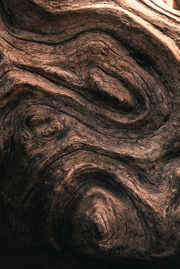 Textured weathered wood with natural swirling grain patterns, symbolizing grounding, resilience, nature-based healing, and emotional restoration.