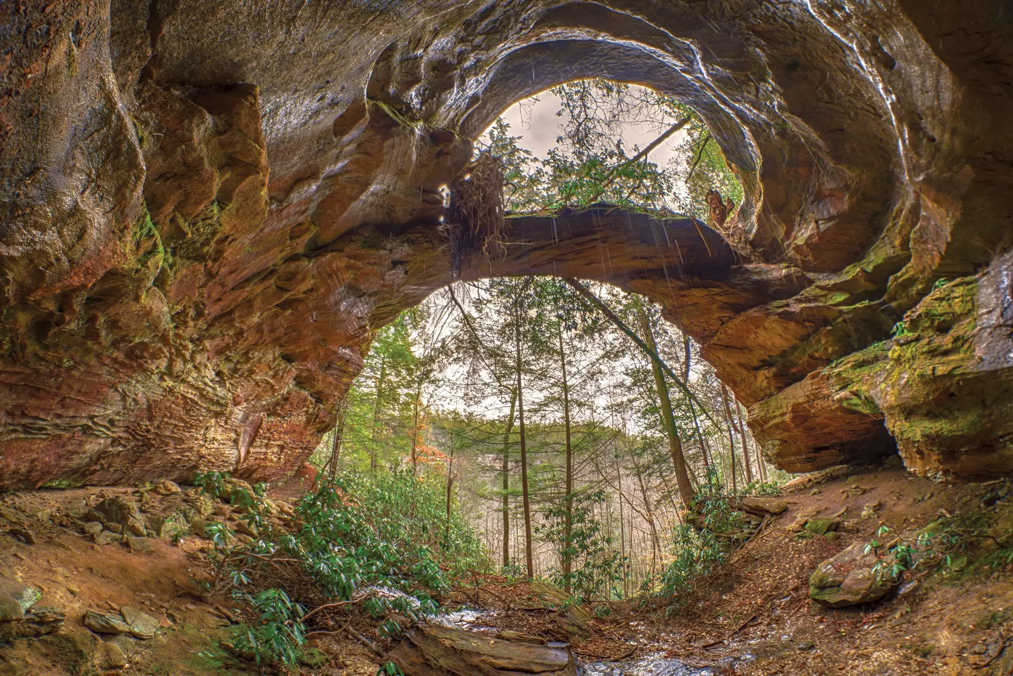 double-arch.jpg.webp