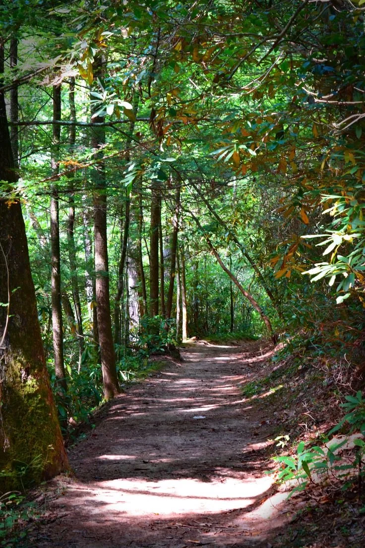 Red River Gorge Hiking Trail Photo Print.jpg