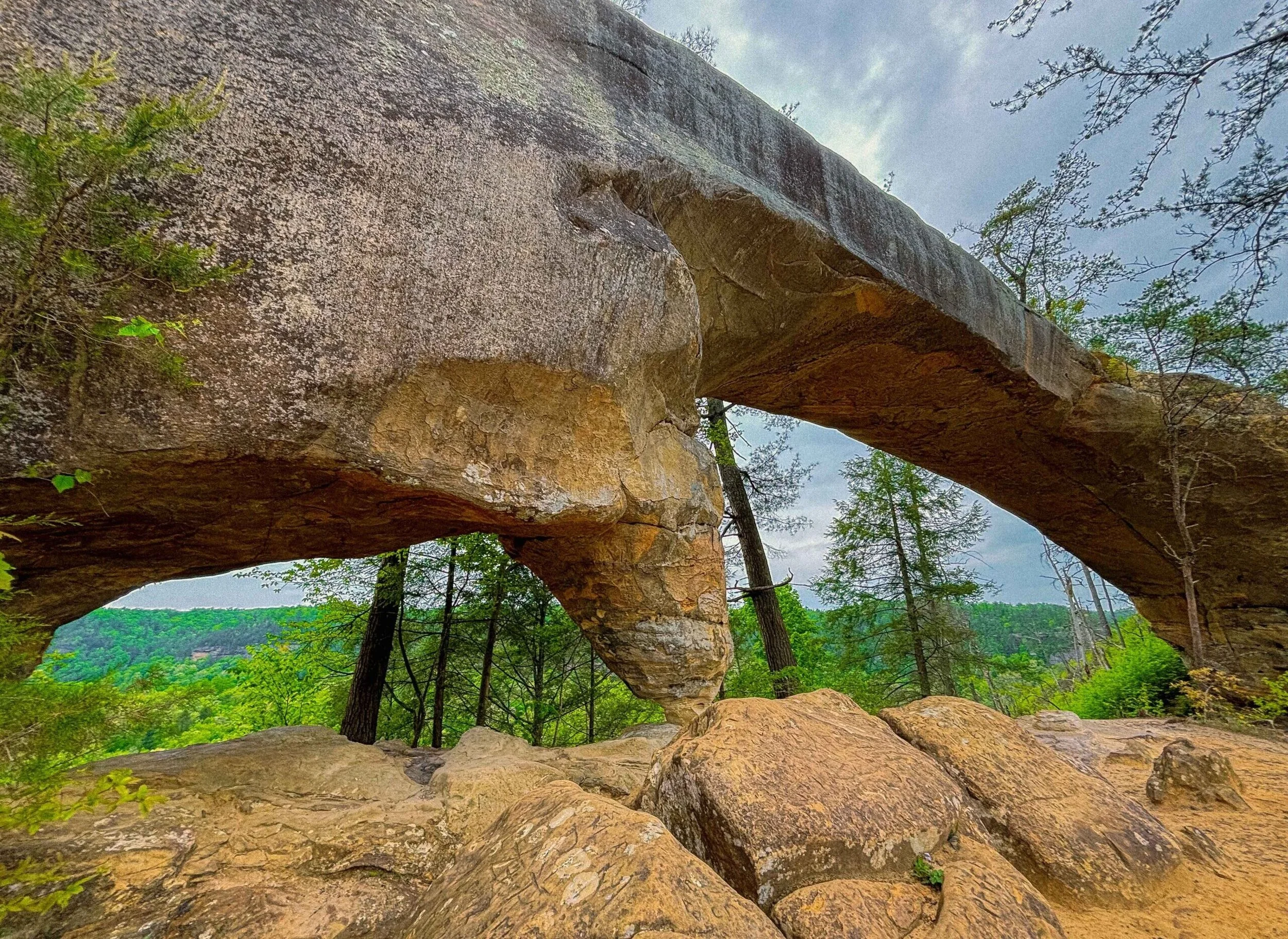 Sky-Bridge-Arch-Red-River-Gorge-scaled-e1769553027364.jpg