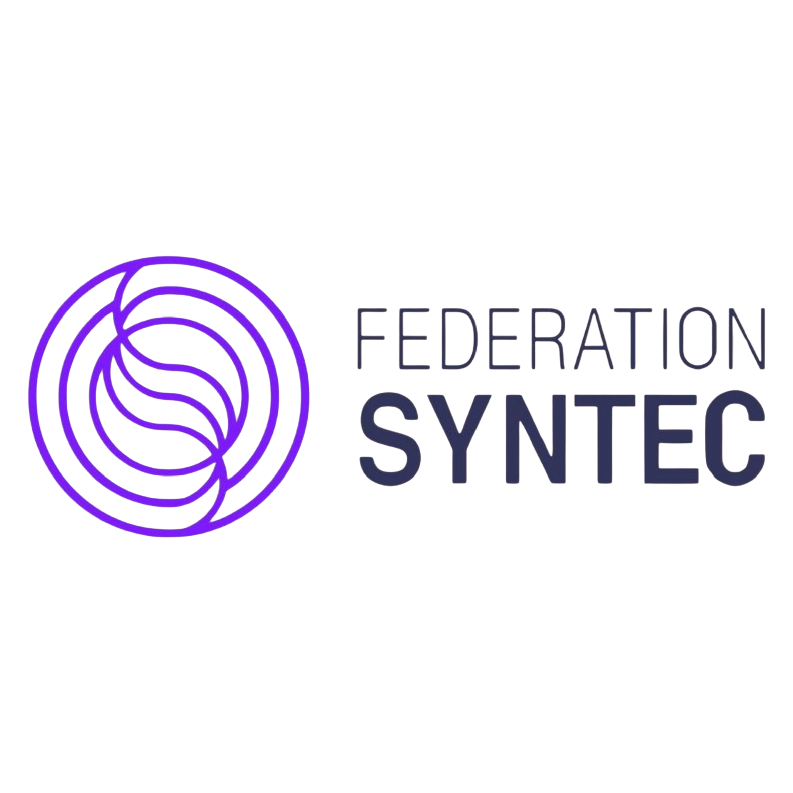 Fédération SYNTEC is the leading French professional federation representing consulting, digital, and engineering companies.