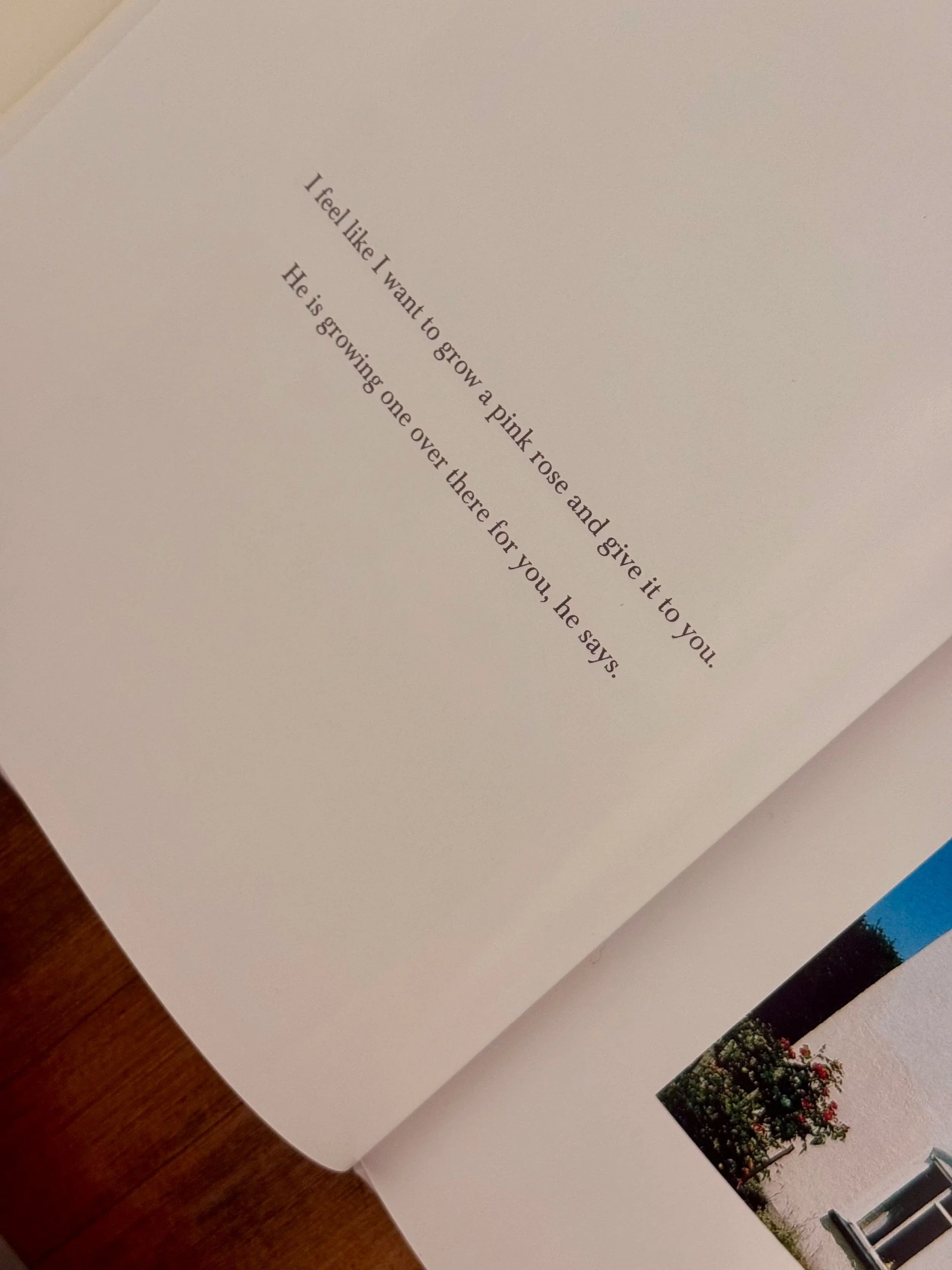 A page with a poem that reads, "I feel like I want to grow a pink rose and give it to you. He is growing one over there for you, he says."