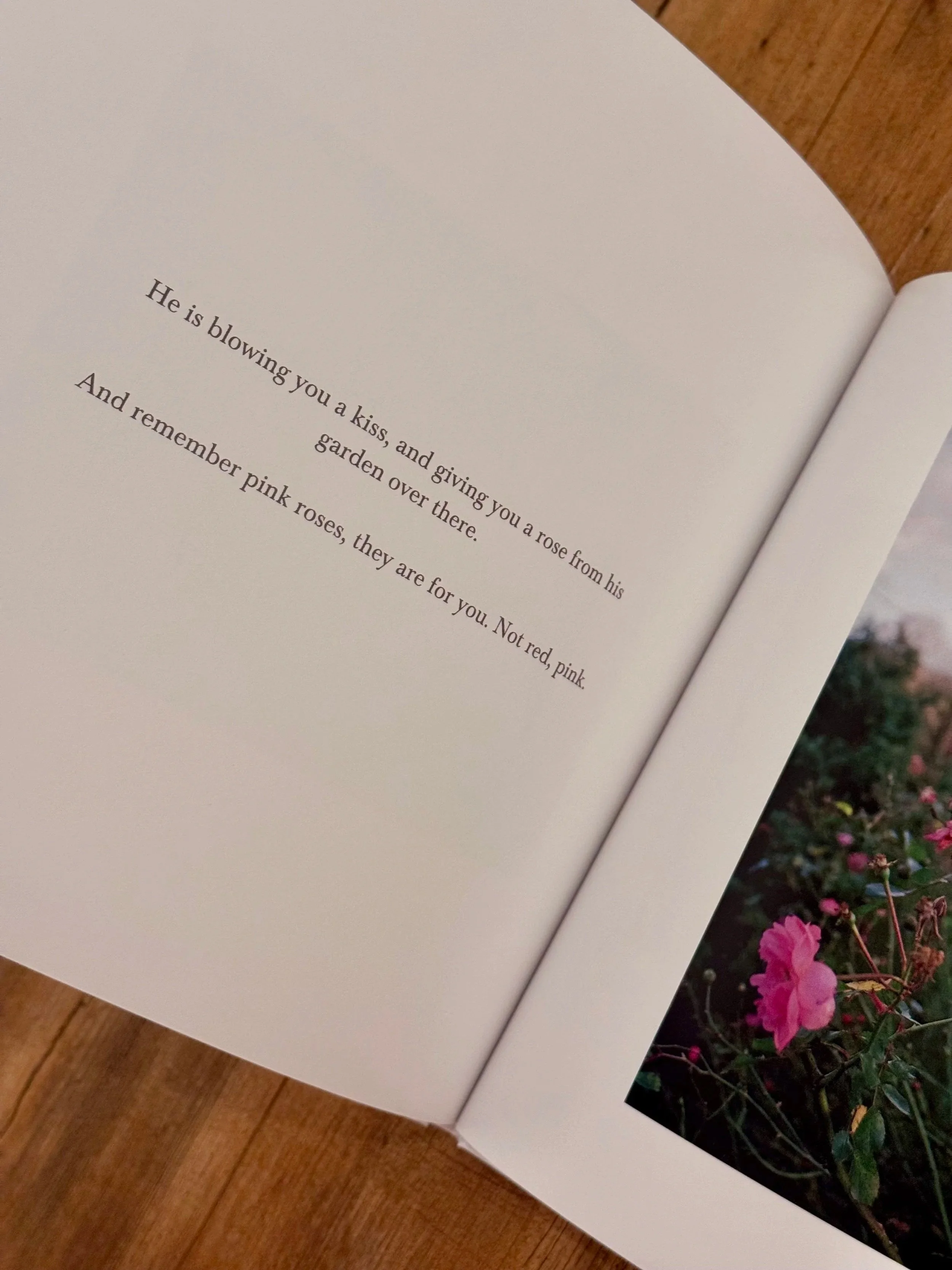 Open book showing a poem about roses and pink flowers in a garden on the right page.