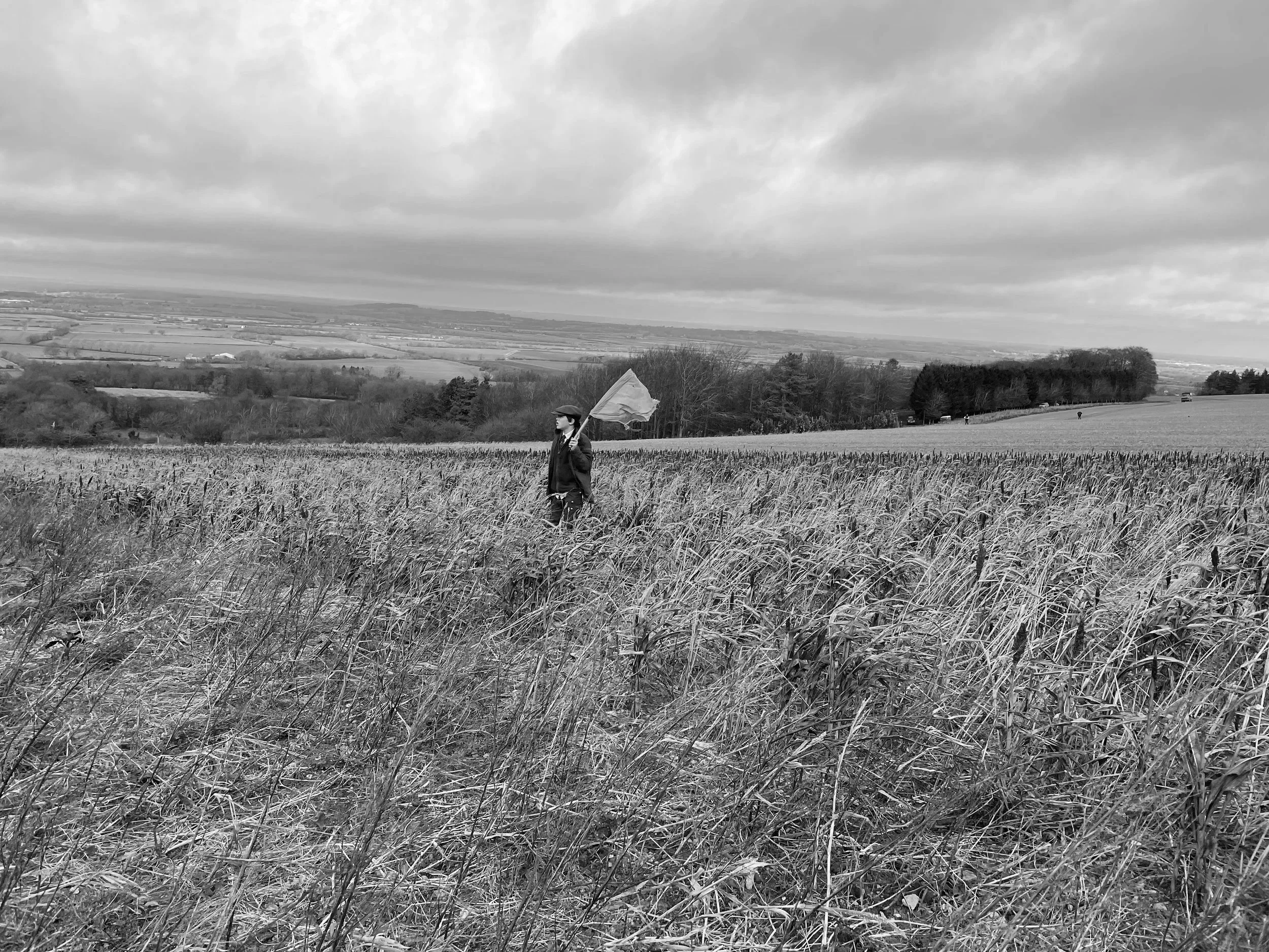 A person standing in a wheat field holding a flag, with a landscape of fields and trees under a cloudy sky in the background.