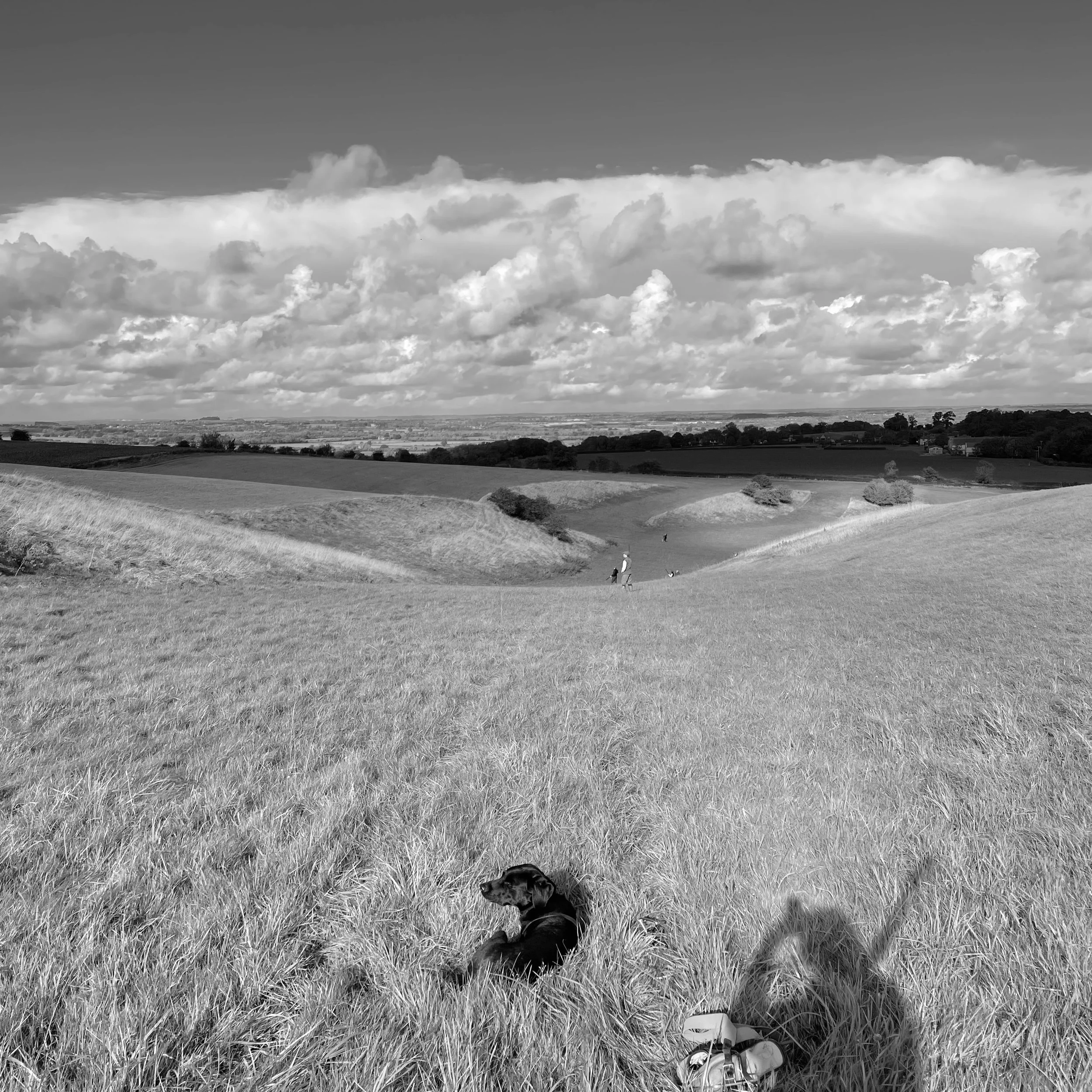 A black dog lying in tall grass in a hilly landscape with a person and dog in the distance, under a cloudy sky.