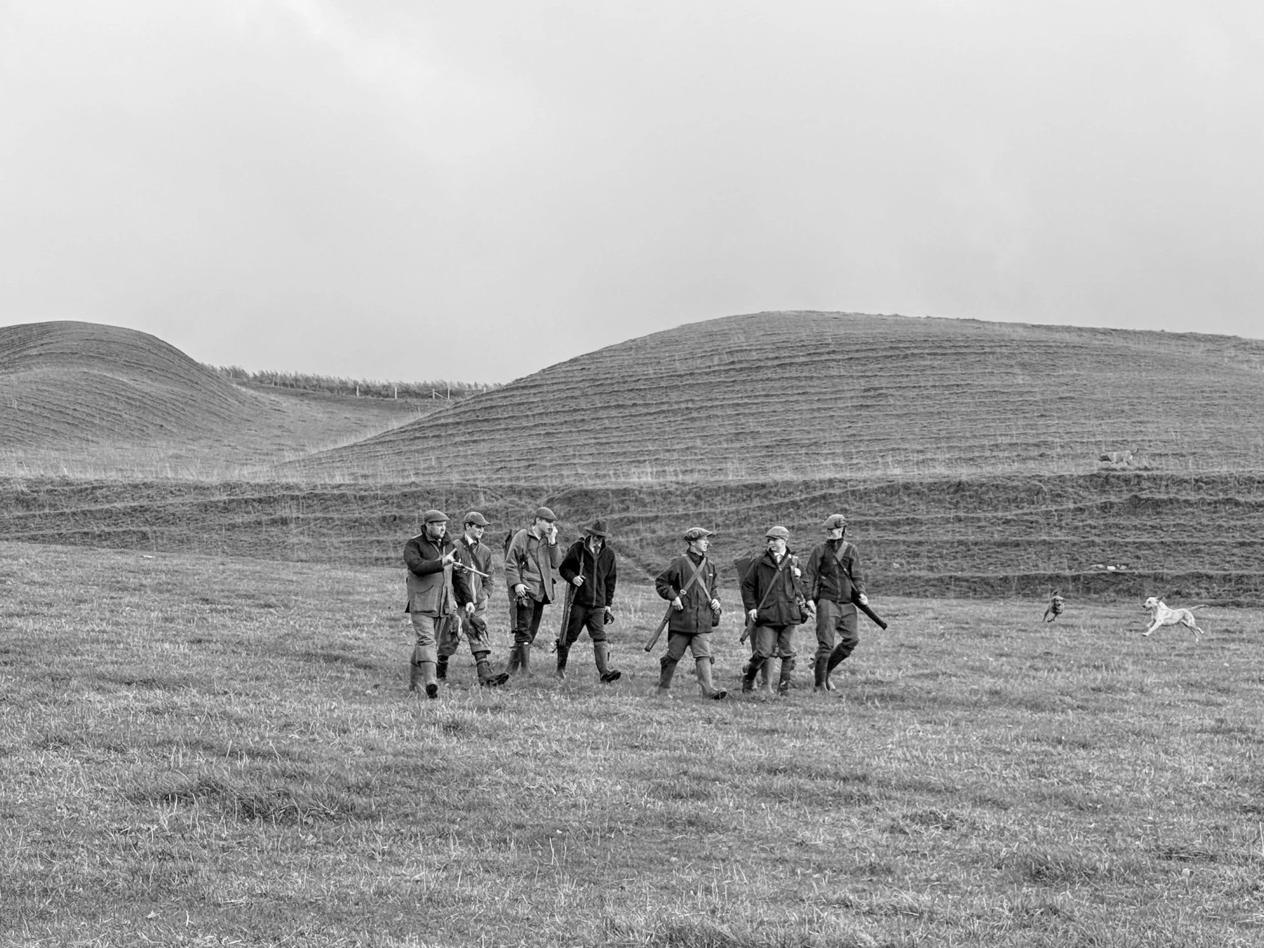 Historical black and white photograph of a group of soldiers walking across open field with rolling hills in the background, accompanied by two dogs.