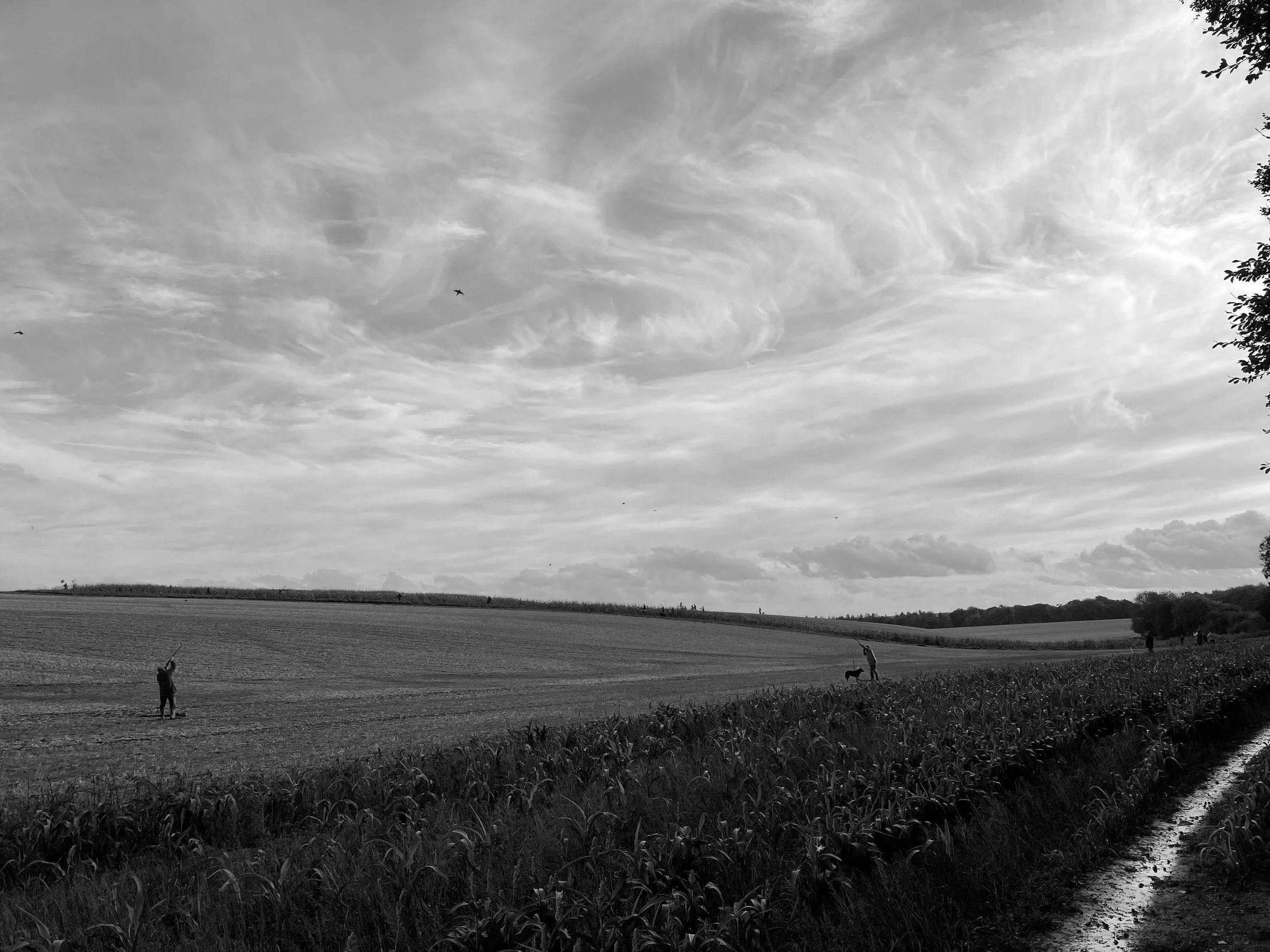 A black and white photo of a rural landscape with a large open field, a cloudy sky, and a narrow dirt path. There are people and dogs in the field, some flying kites.