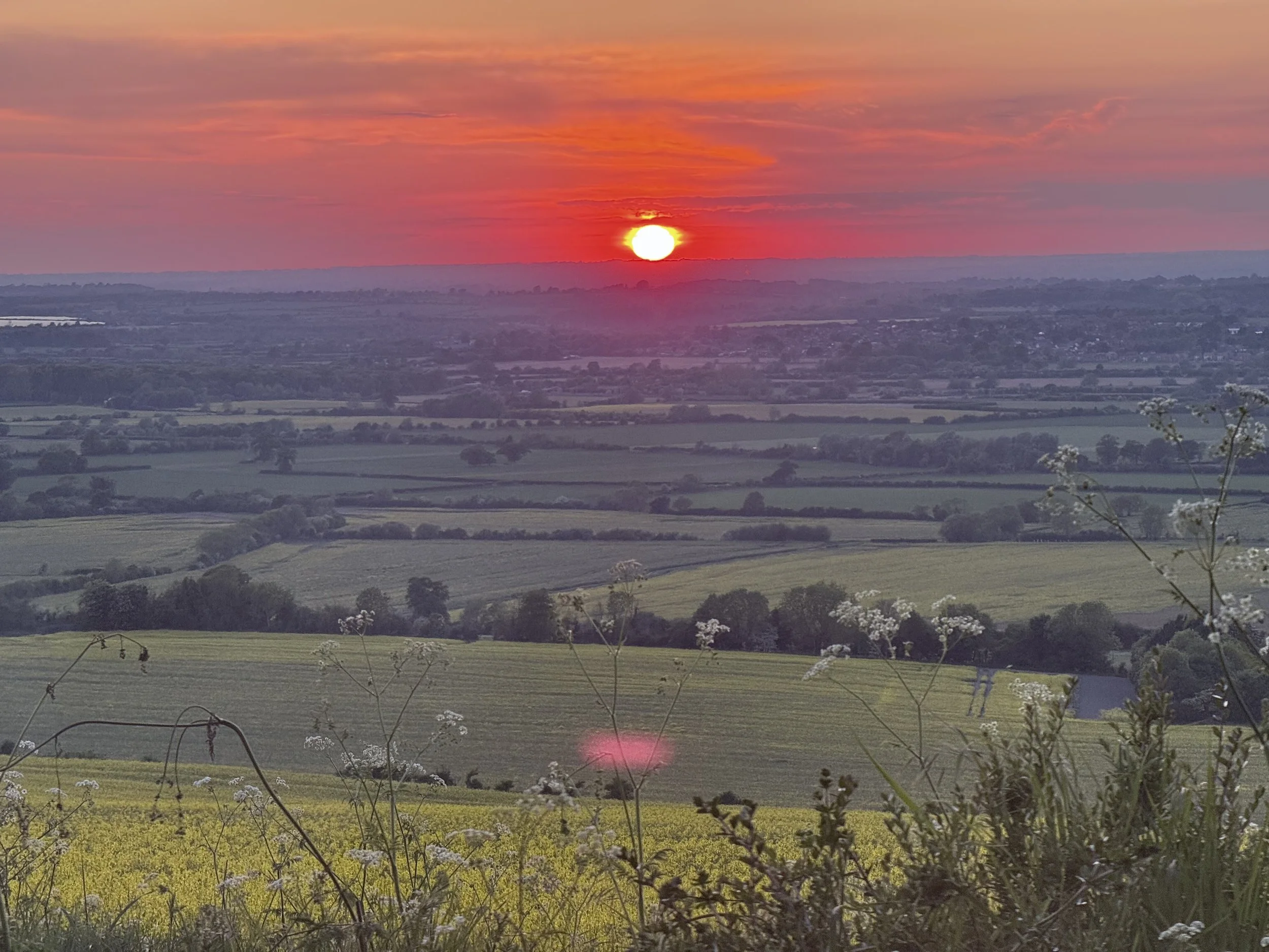 A colorful sunset over a rural landscape with rolling fields, scattered trees, and some wildflowers in the foreground.