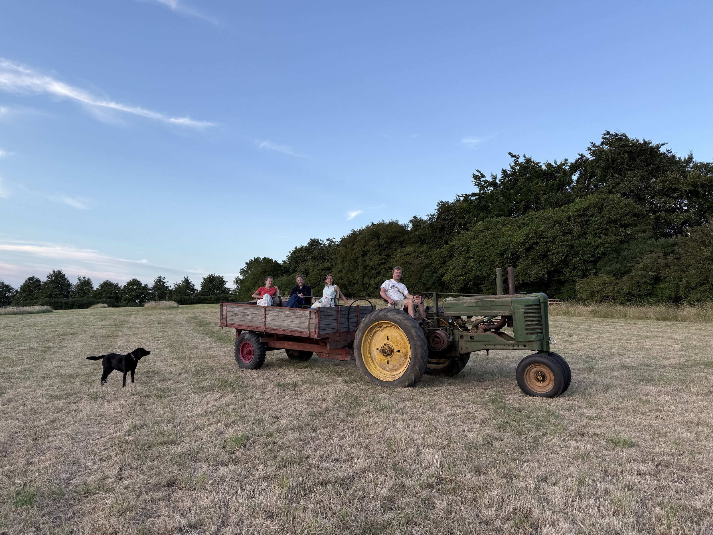 Four people sitting on the back of a vintage tractor in an open grassy field, with a black dog nearby and trees in the background under a clear blue sky.