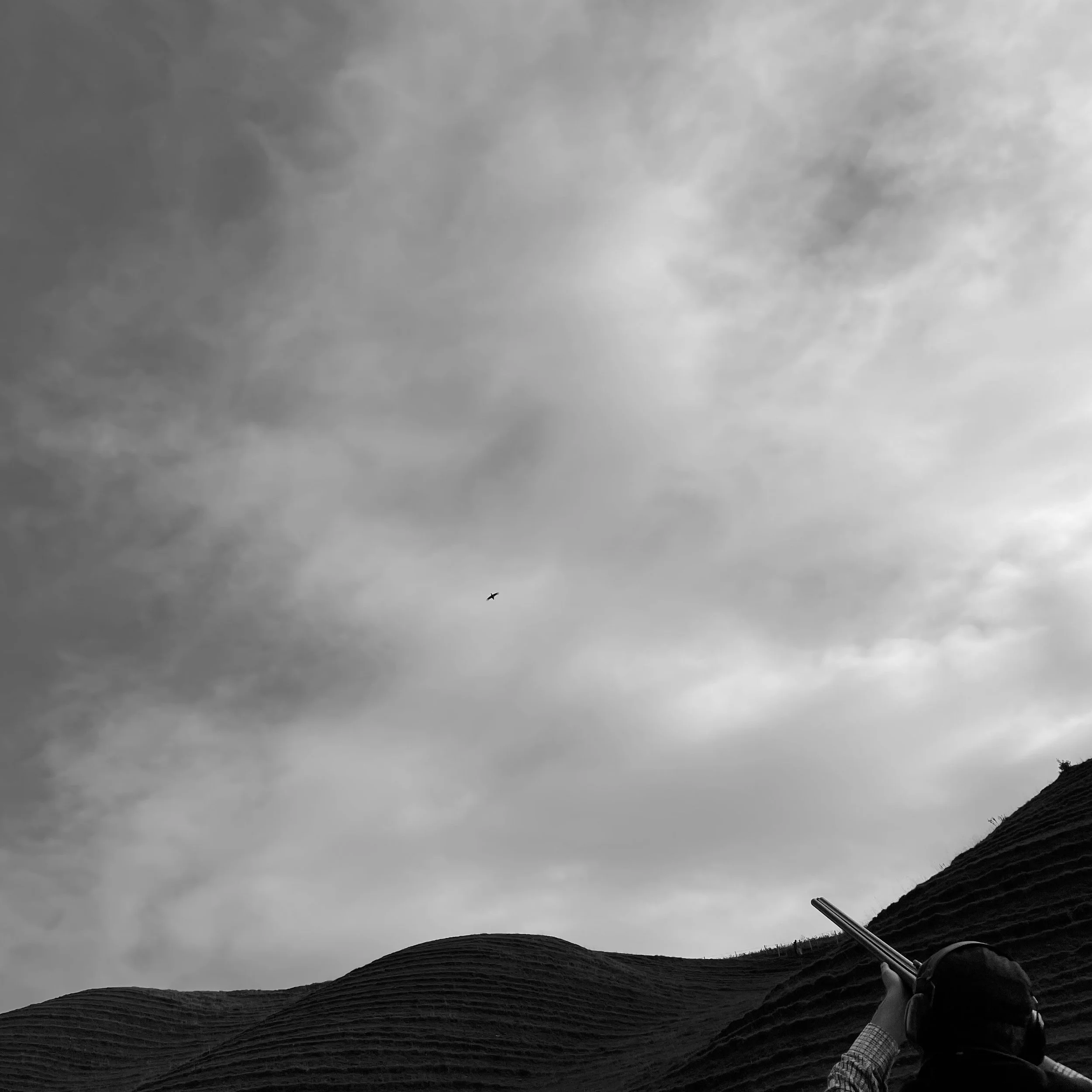 A person wearing headphones and aiming a shotgun at a bird flying in a cloudy sky, with a hilly landscape below.