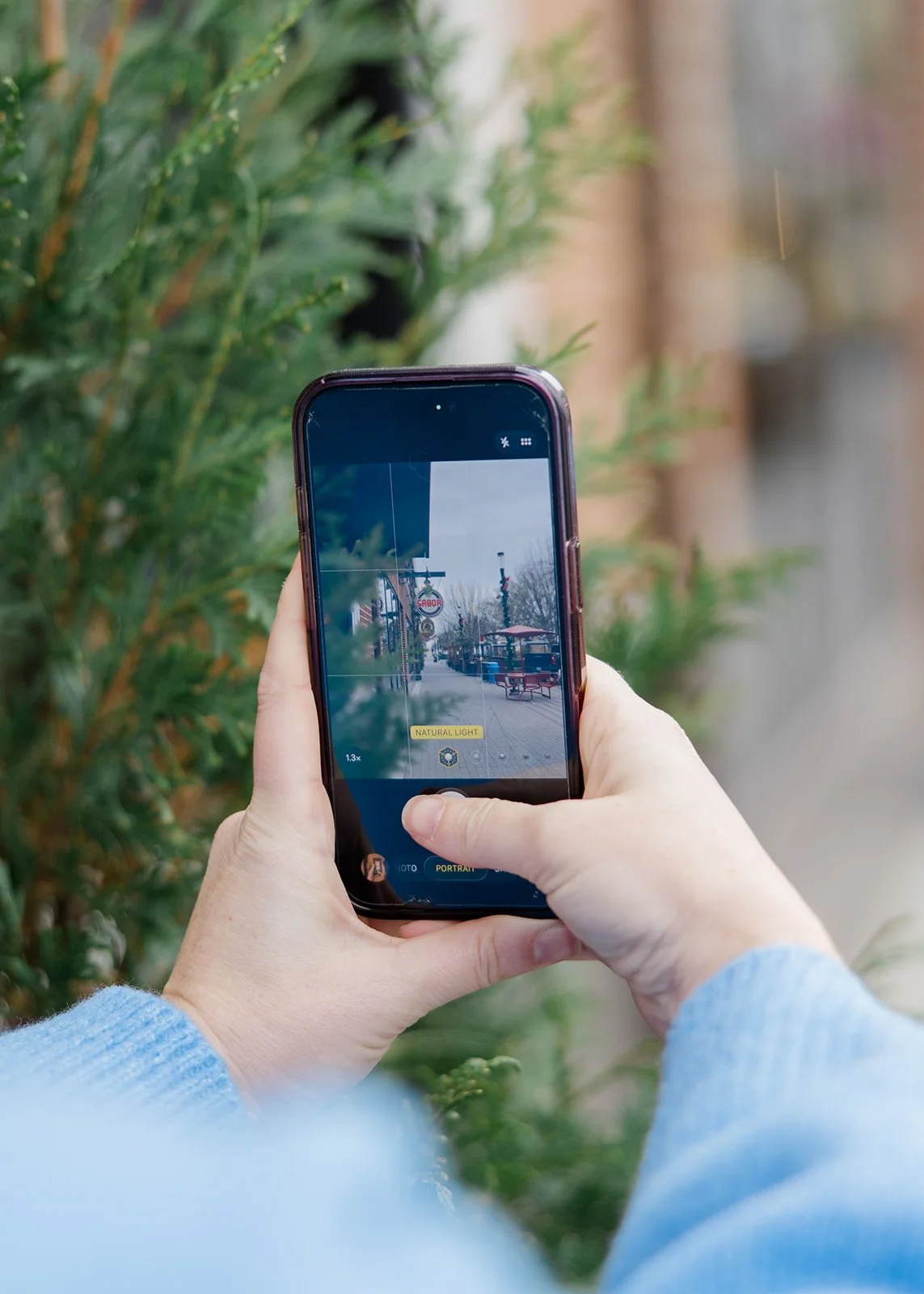 Person taking a photo of a street scene with a smartphone, with green bushes in the foreground.