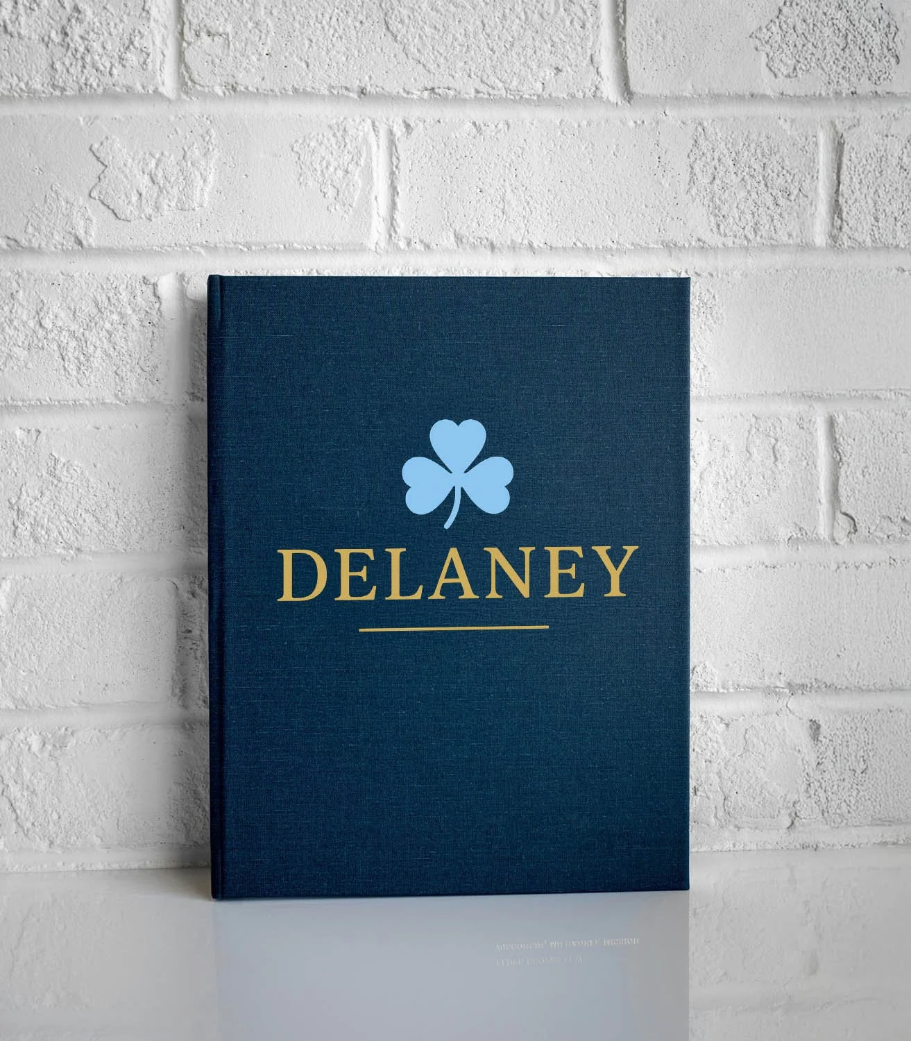 A blue hardcover book with a gold title 'Delaney' and a clover with a heart-shaped top on the cover, positioned against a white brick wall.