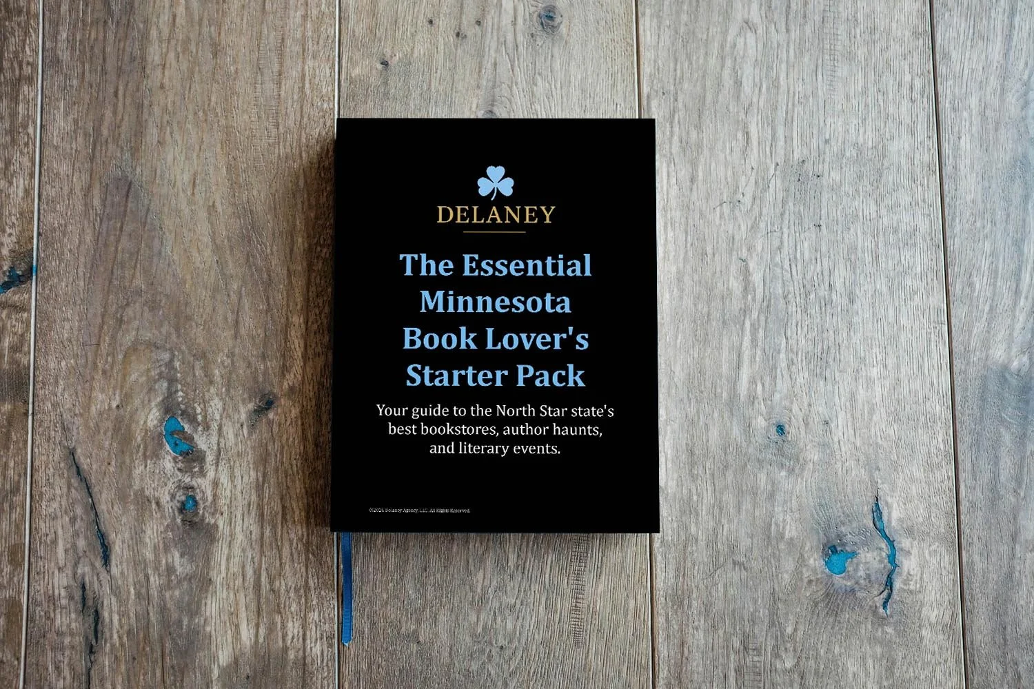 Cover of a book titled "The Essential Minnesota Book Lover's Starter Pack" by Delaney, on a wooden surface.