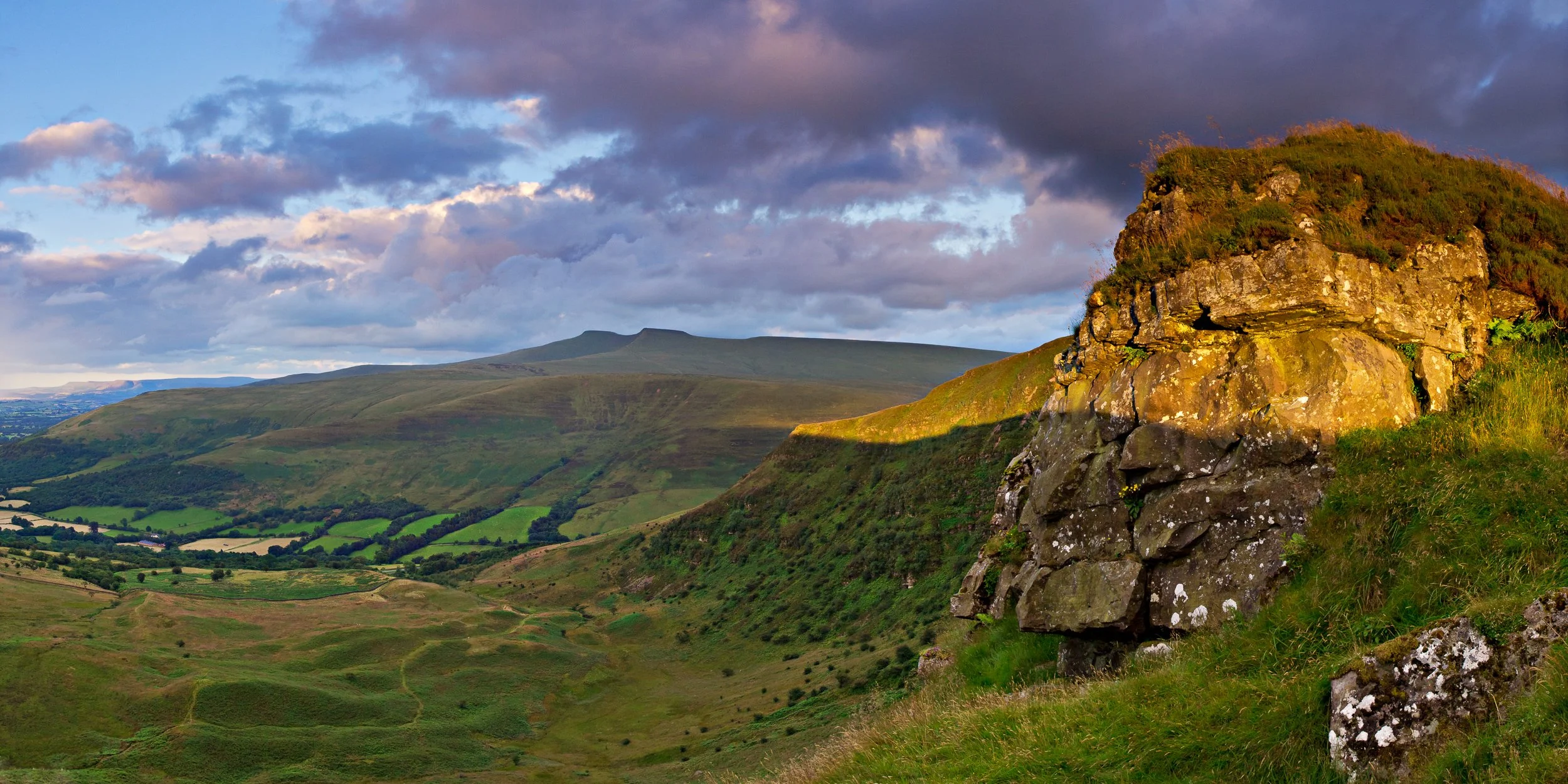 NM_1207_CraigCG_Pan01.jpg