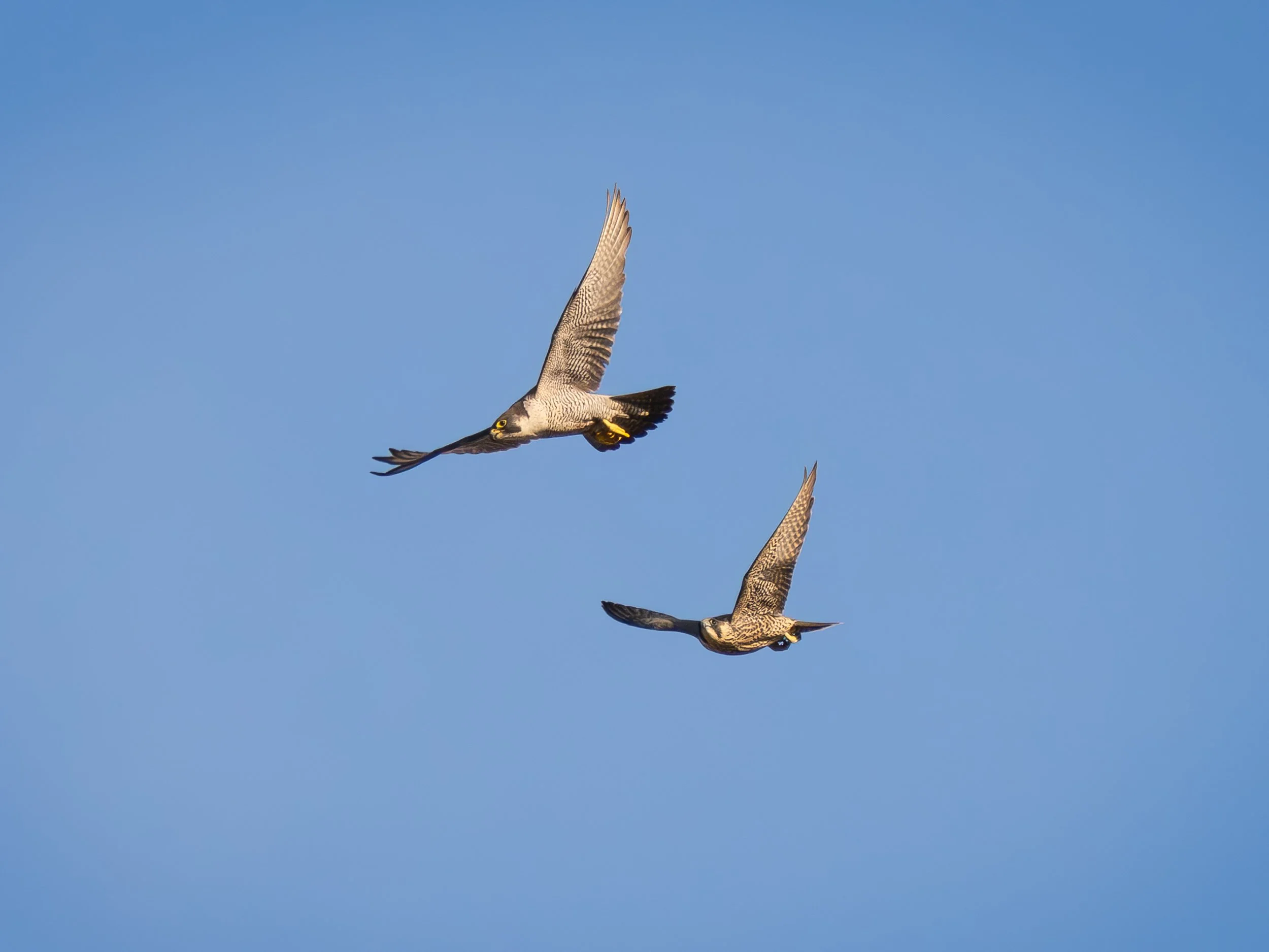 NM_2506_1481_DxO PL9.jpg