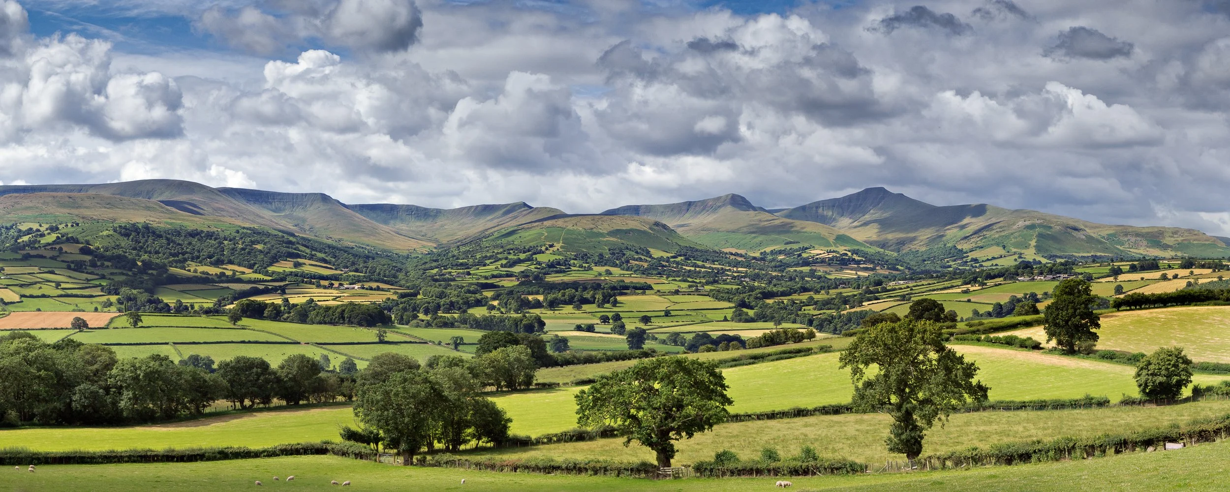 NM_1207_Llechfaen_Pan01.jpg