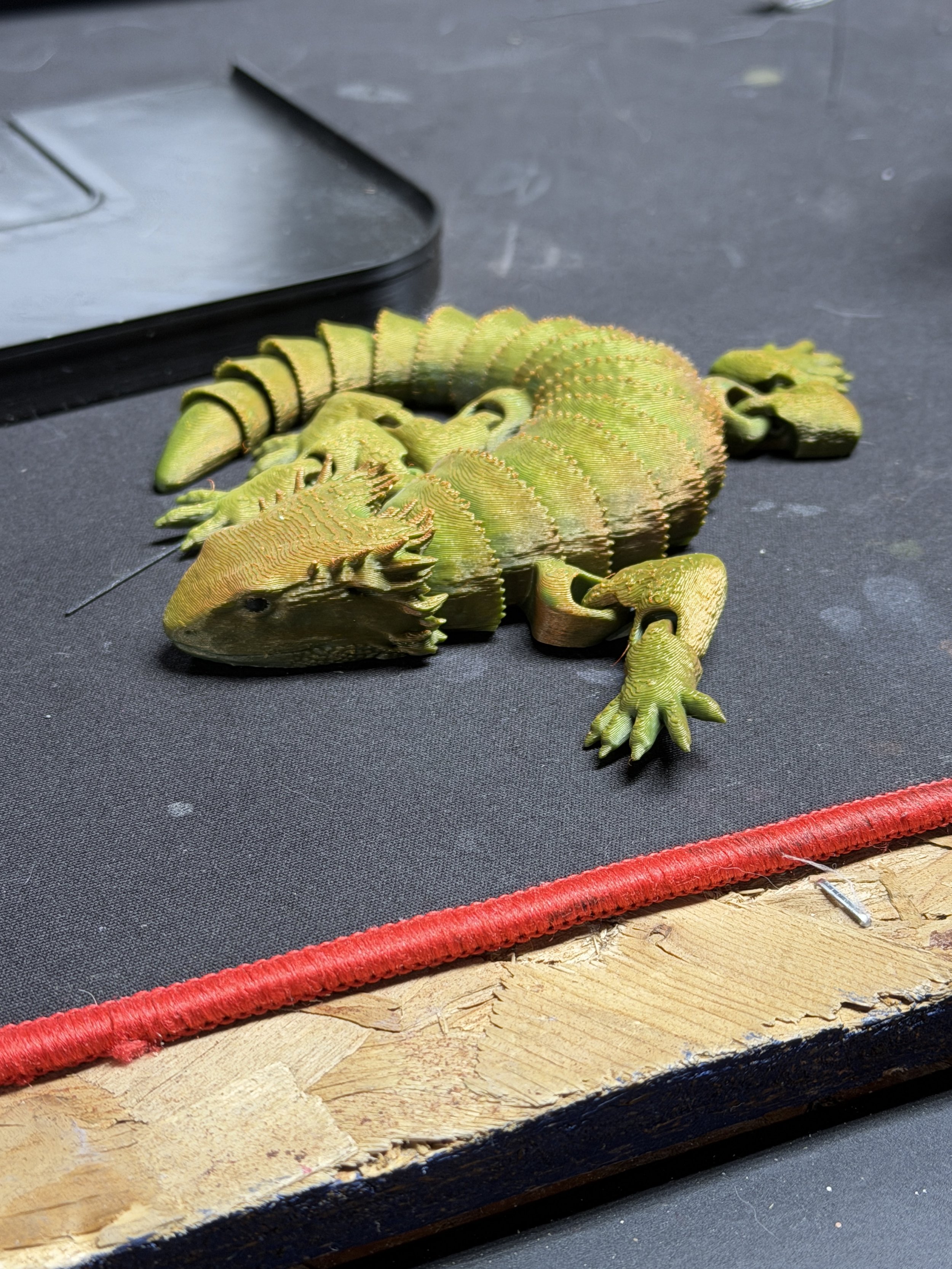 A green and yellow juvenile iguana lying on a black surface near a red border and a black device or box.