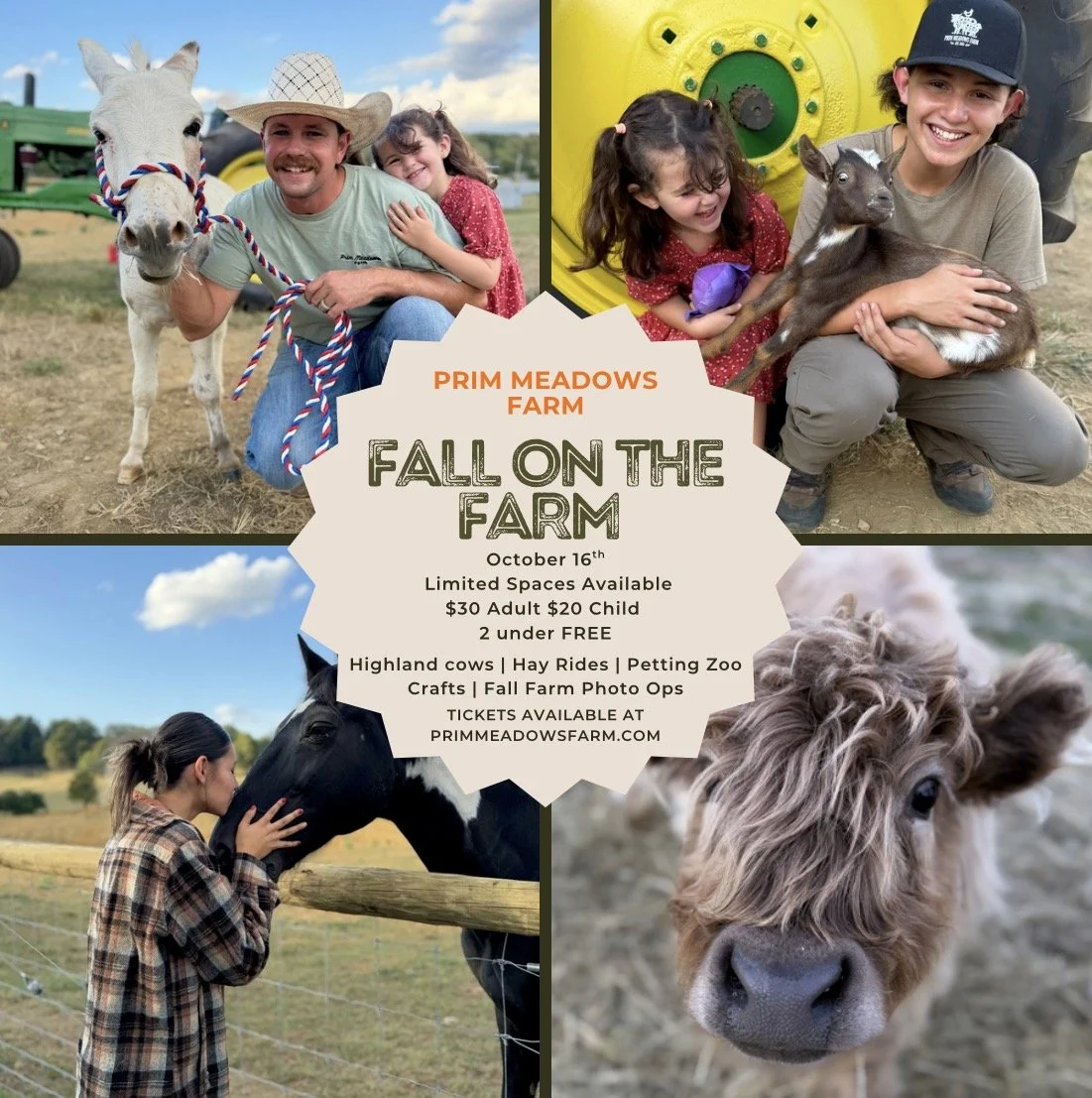 🍂 Fall on the Farm at Prim Meadows 🍂