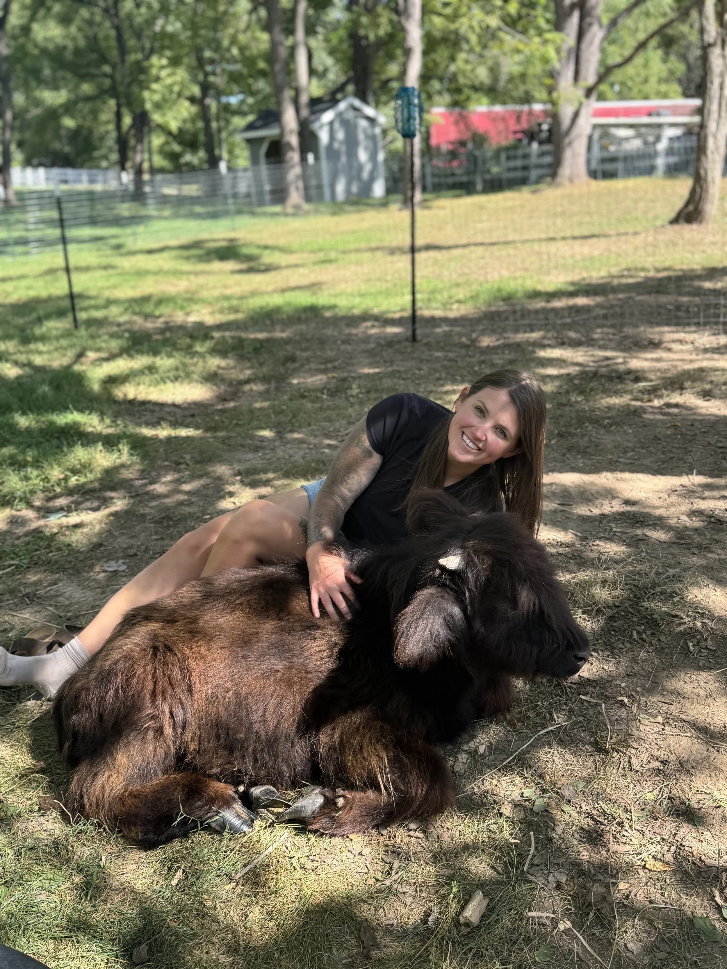 A young woman with tattoos on her arm lying on a grassy ground outdoors, smiling while petting a large, fluffy black and brown goat in a fenced area with trees and outbuildings in the background.